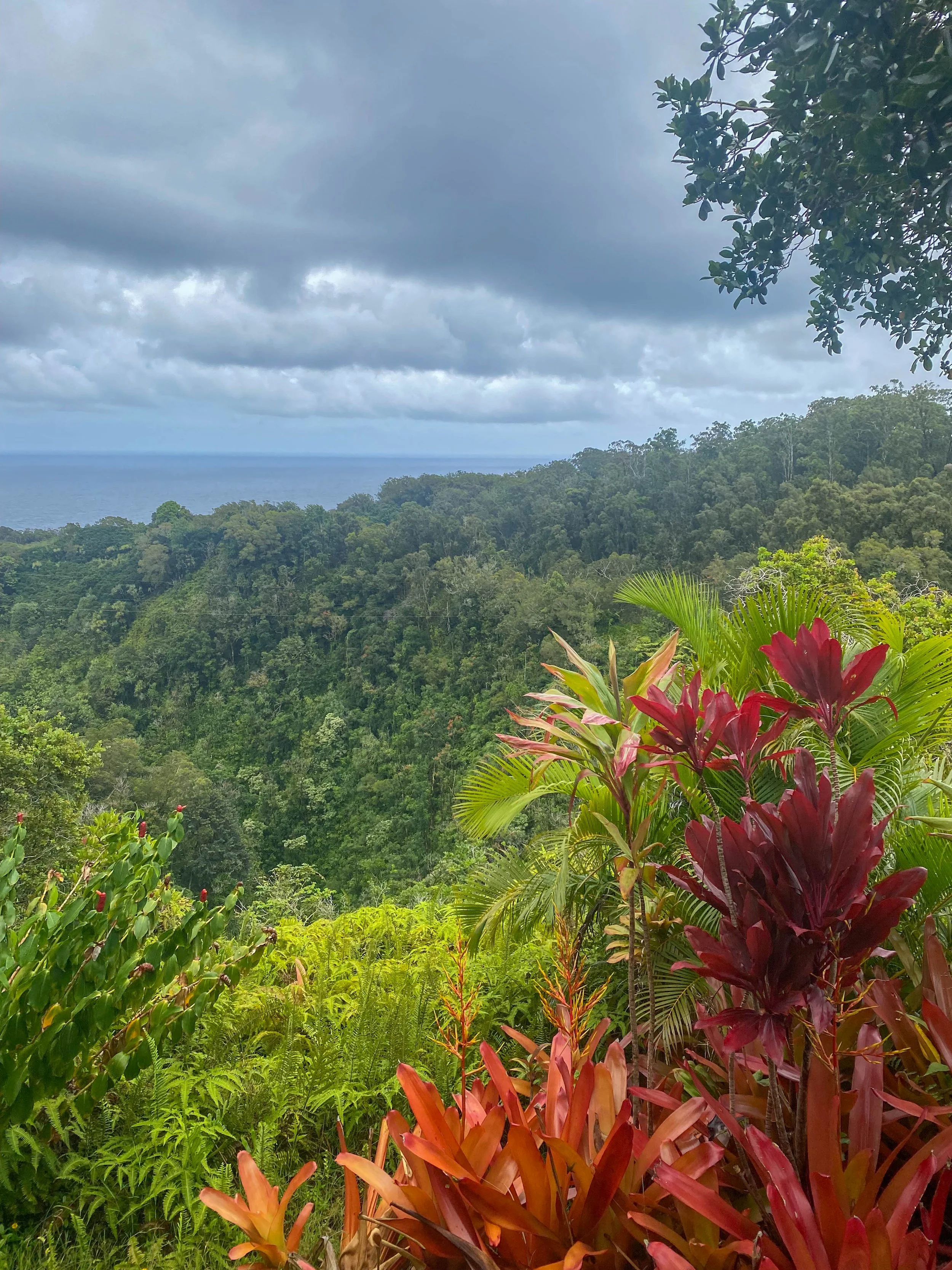 Garden of Eden, Hawaii