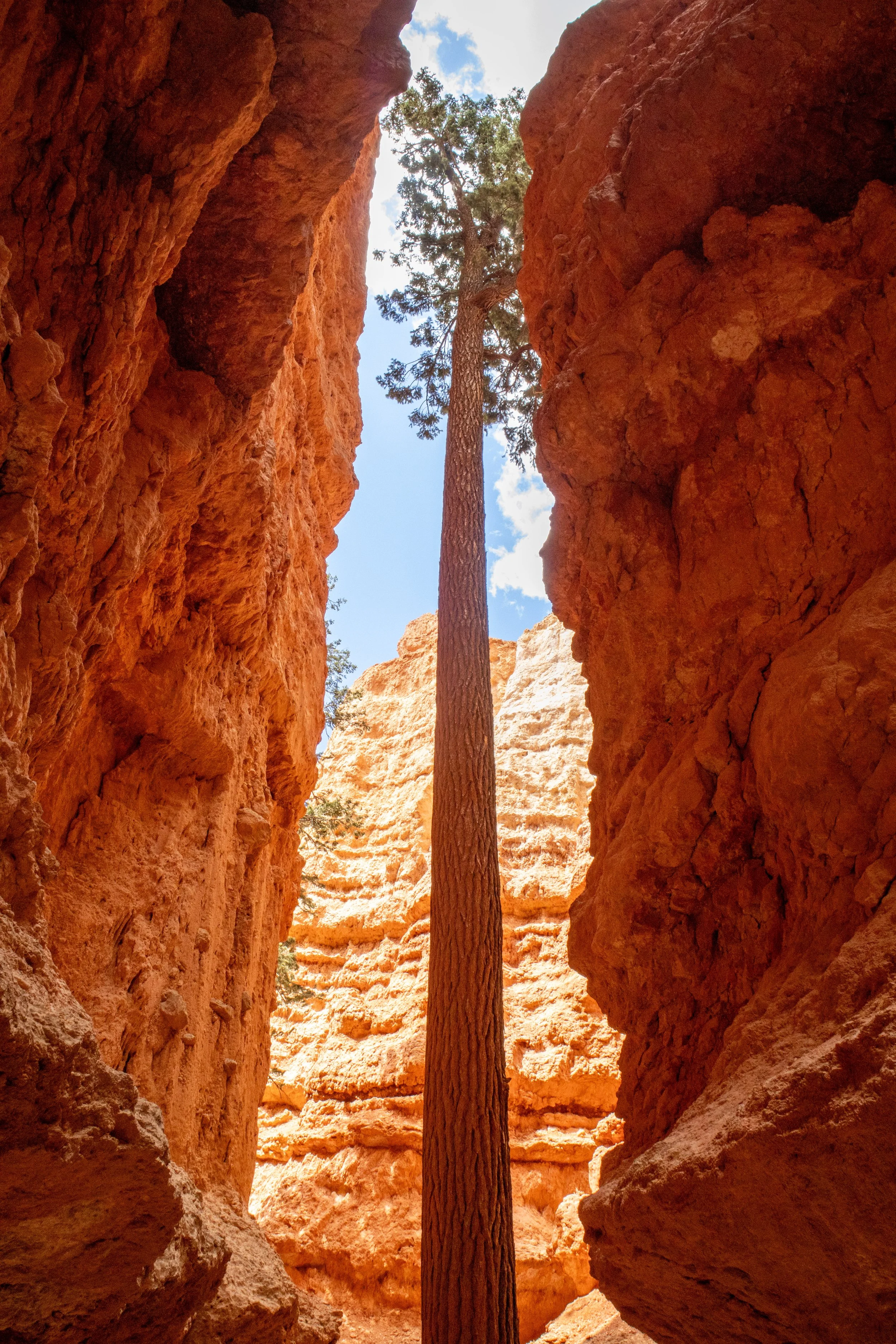 Bryce Canyon National Park