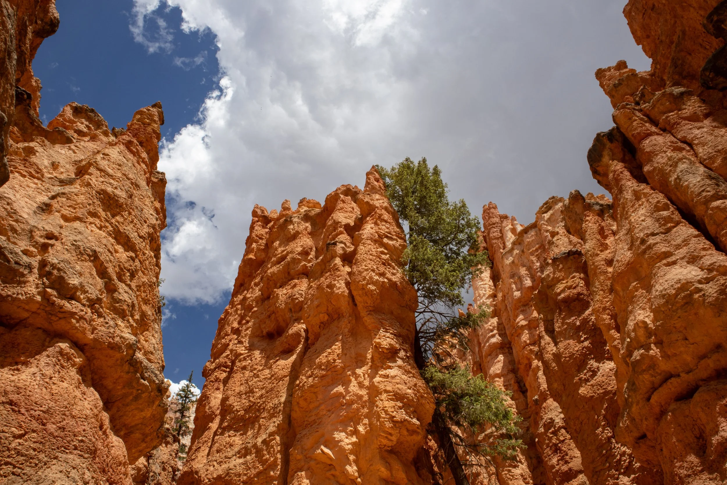 Bryce Canyon National Park