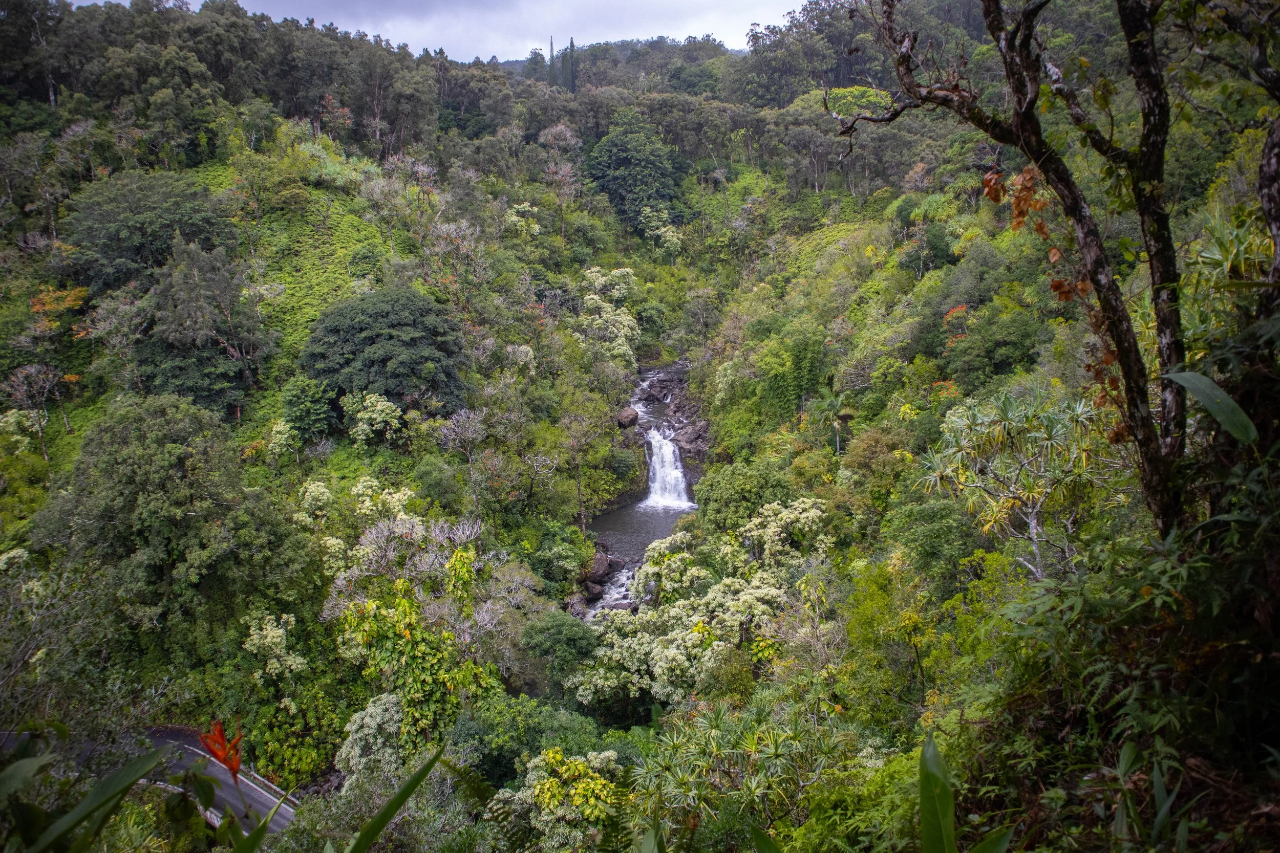 Garden of Eden, Hawaii