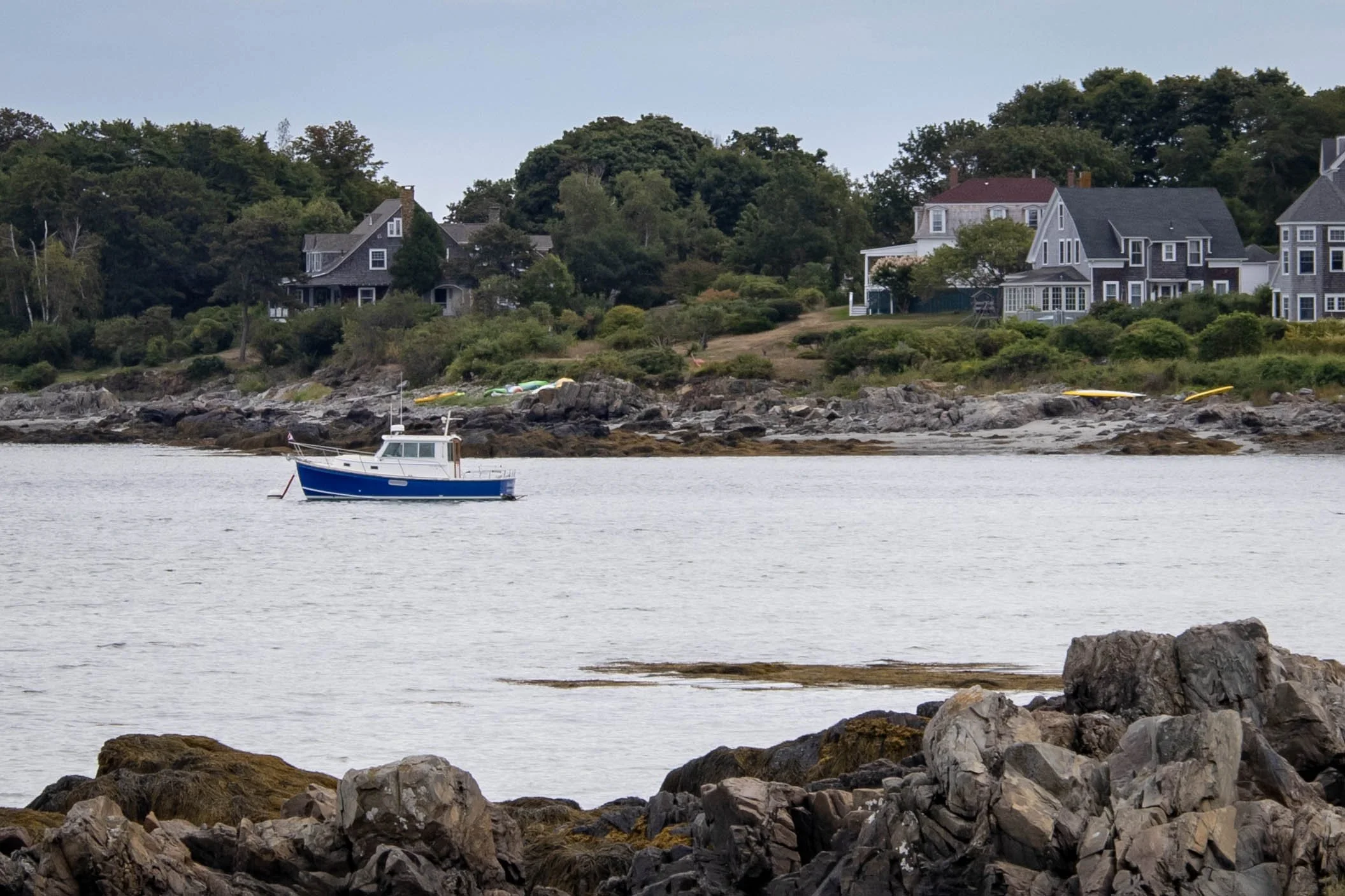 Maine2026_8.jpg