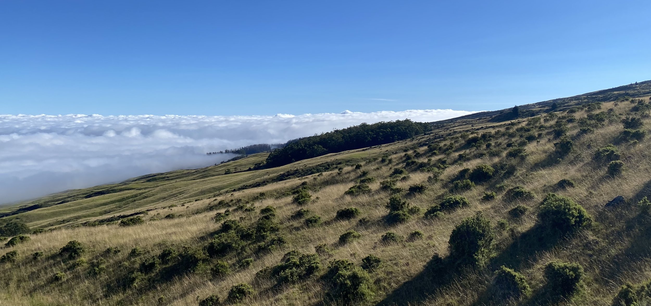 Haleakalā National Park