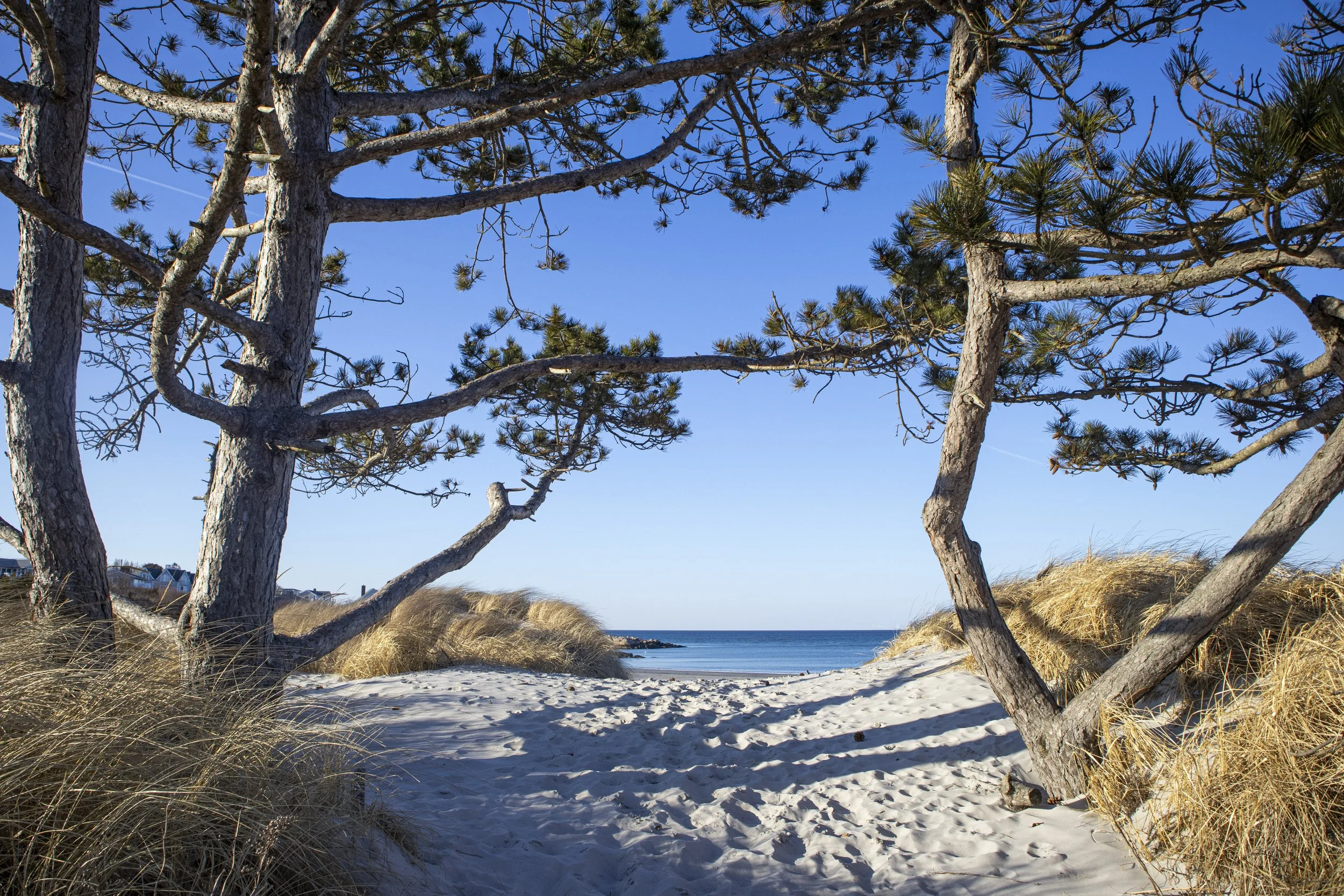 Wingaersheek Beach