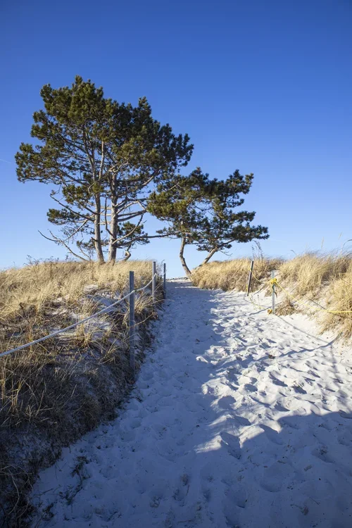 Wingaersheek Beach