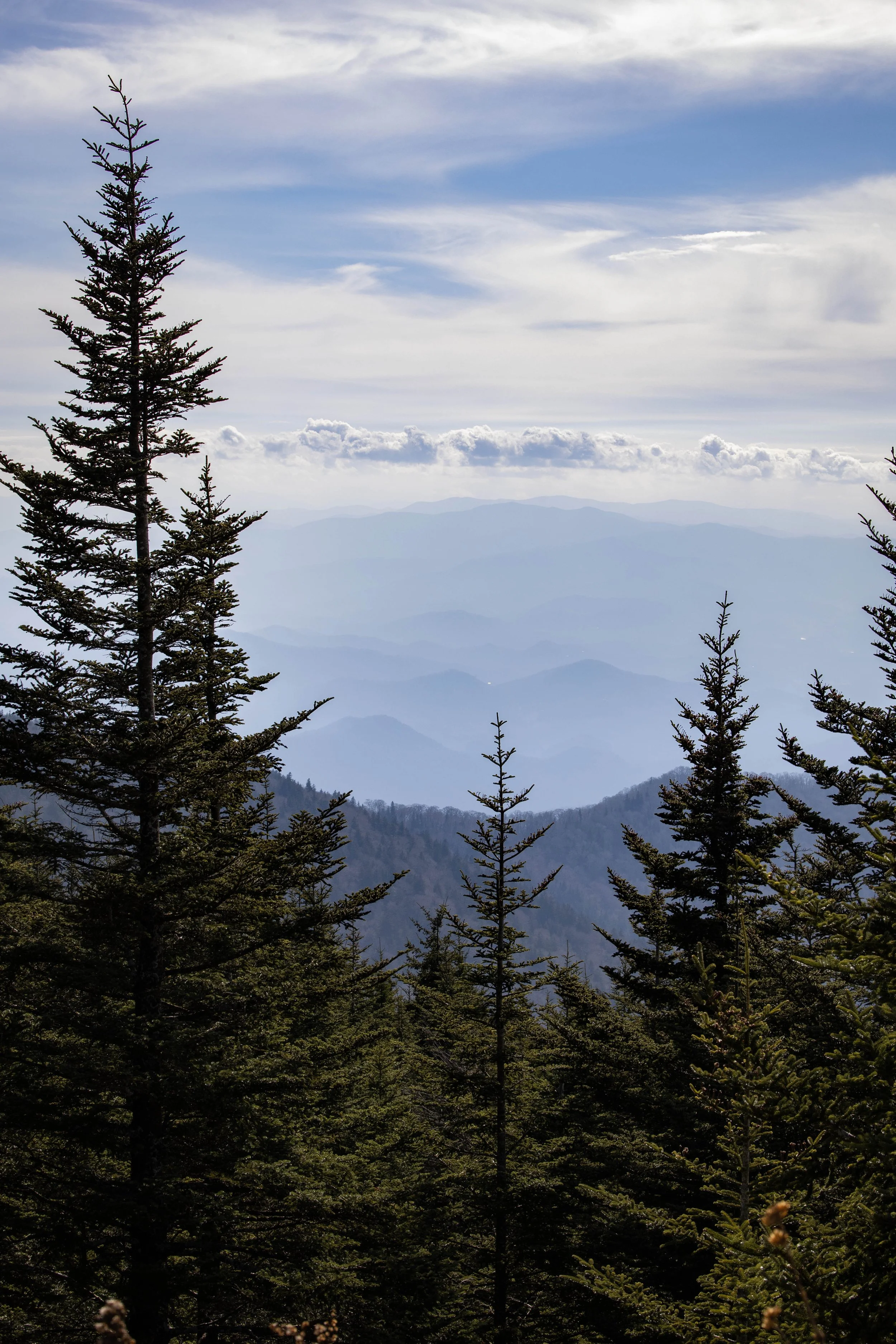 Smoky Mountains National Park