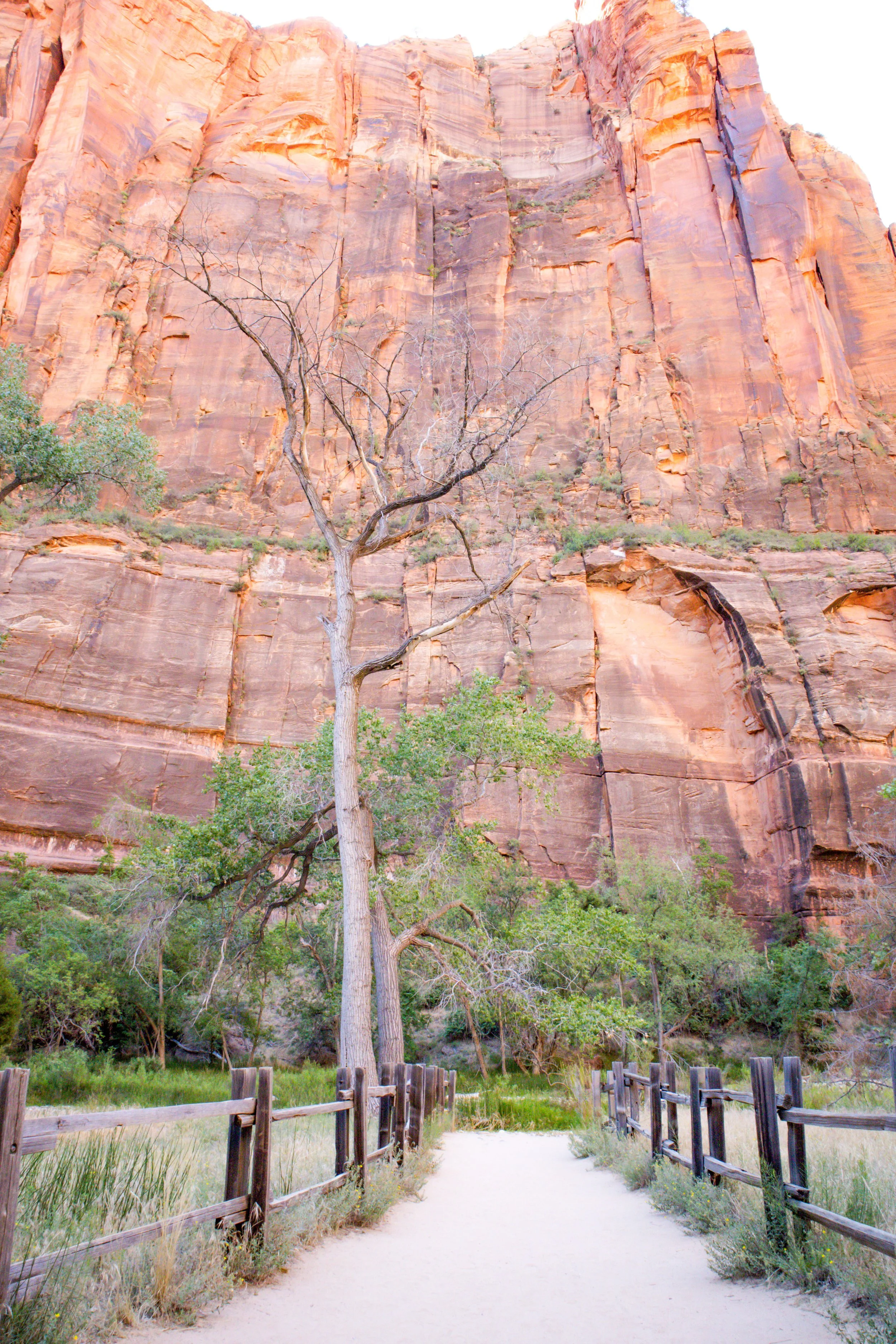 Zion National Park