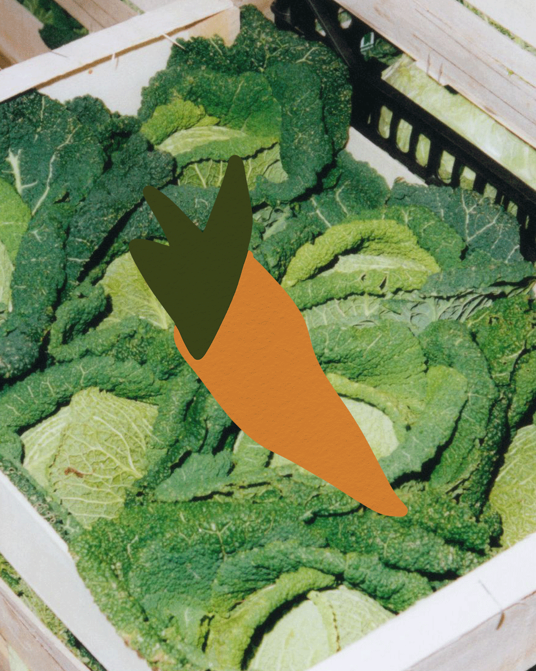 FolkFarms_Gif.gif
