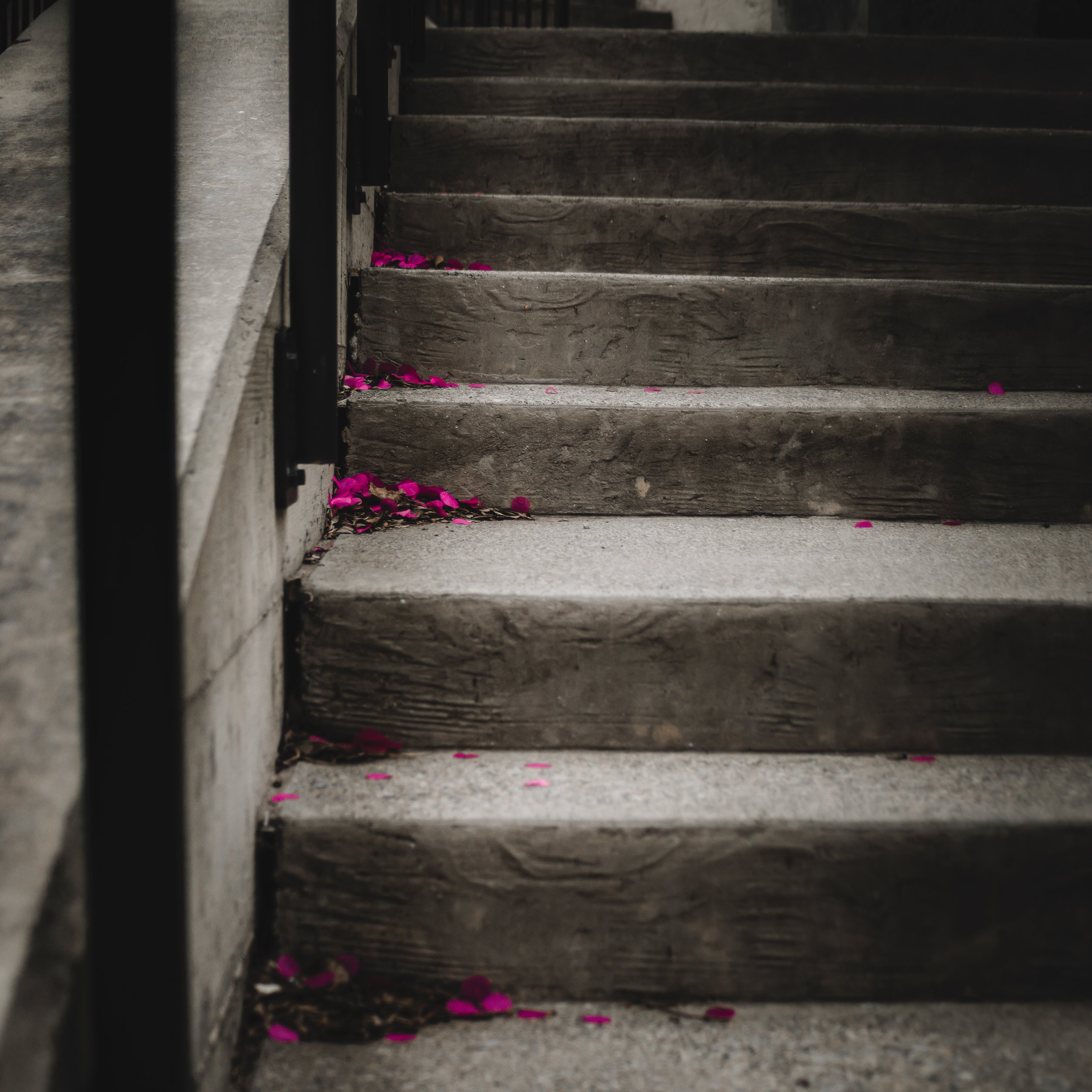 IMG_0615.jpg