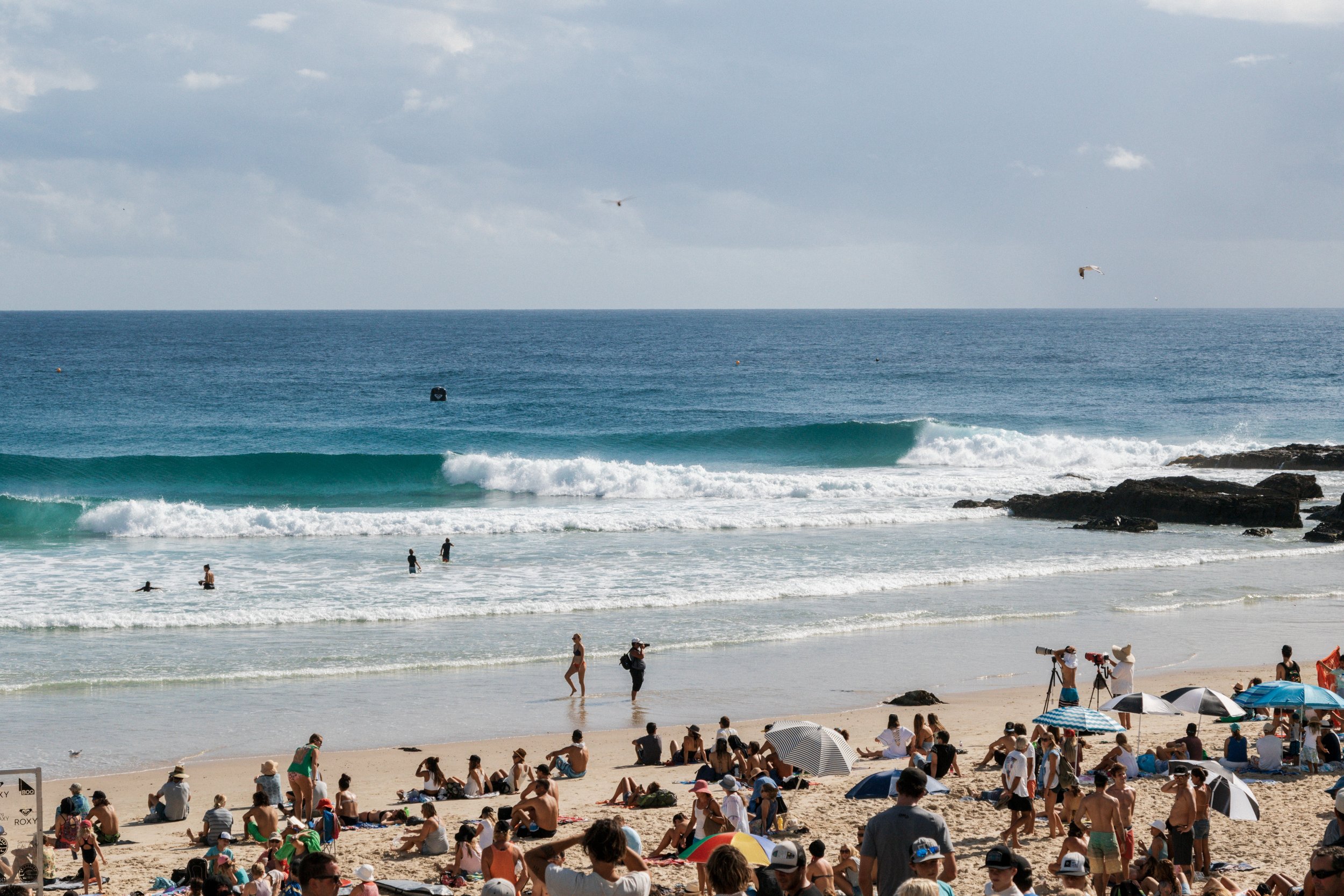 klein_snapper_australia2015_03467-2.jpg