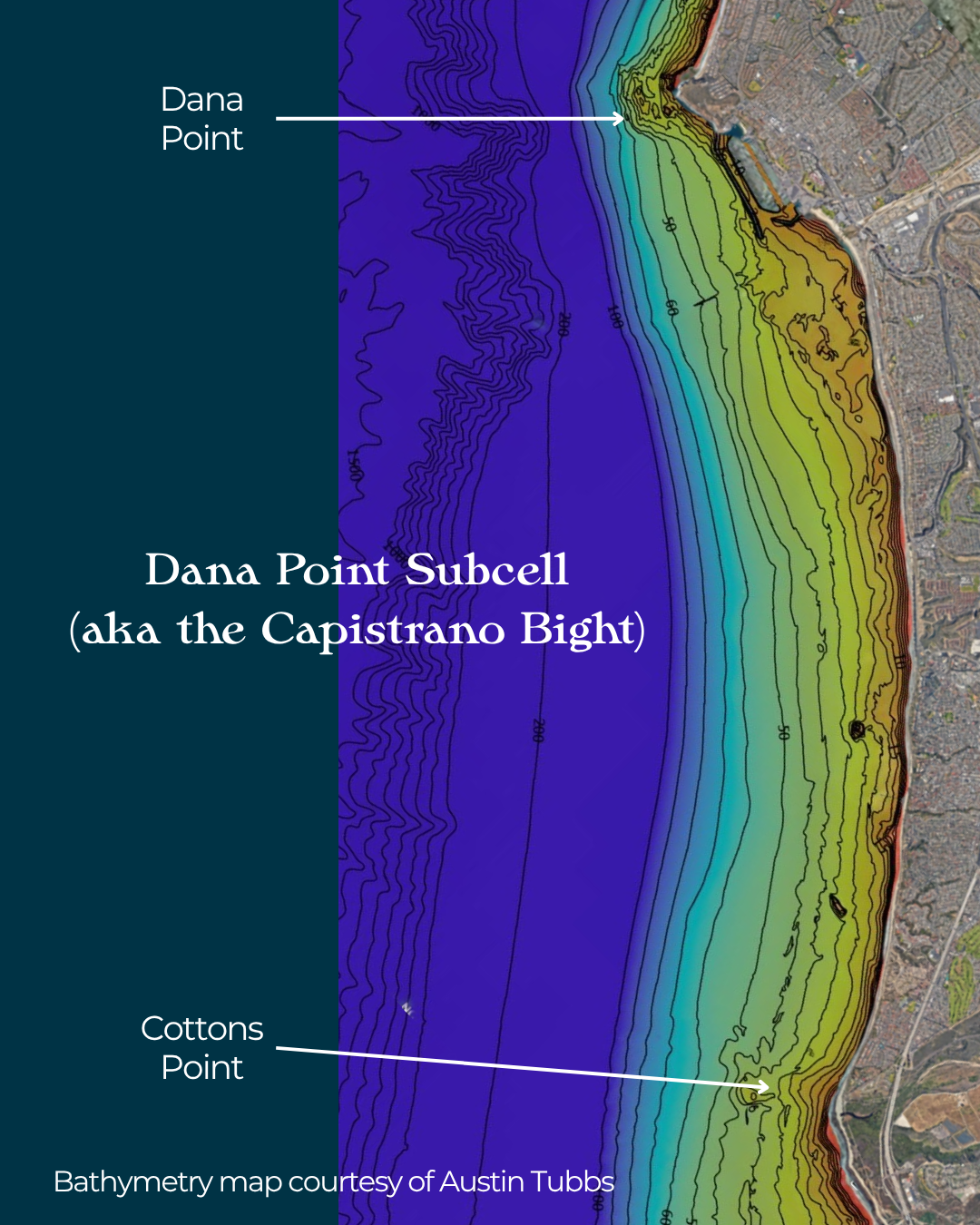 Dana Point Subcell