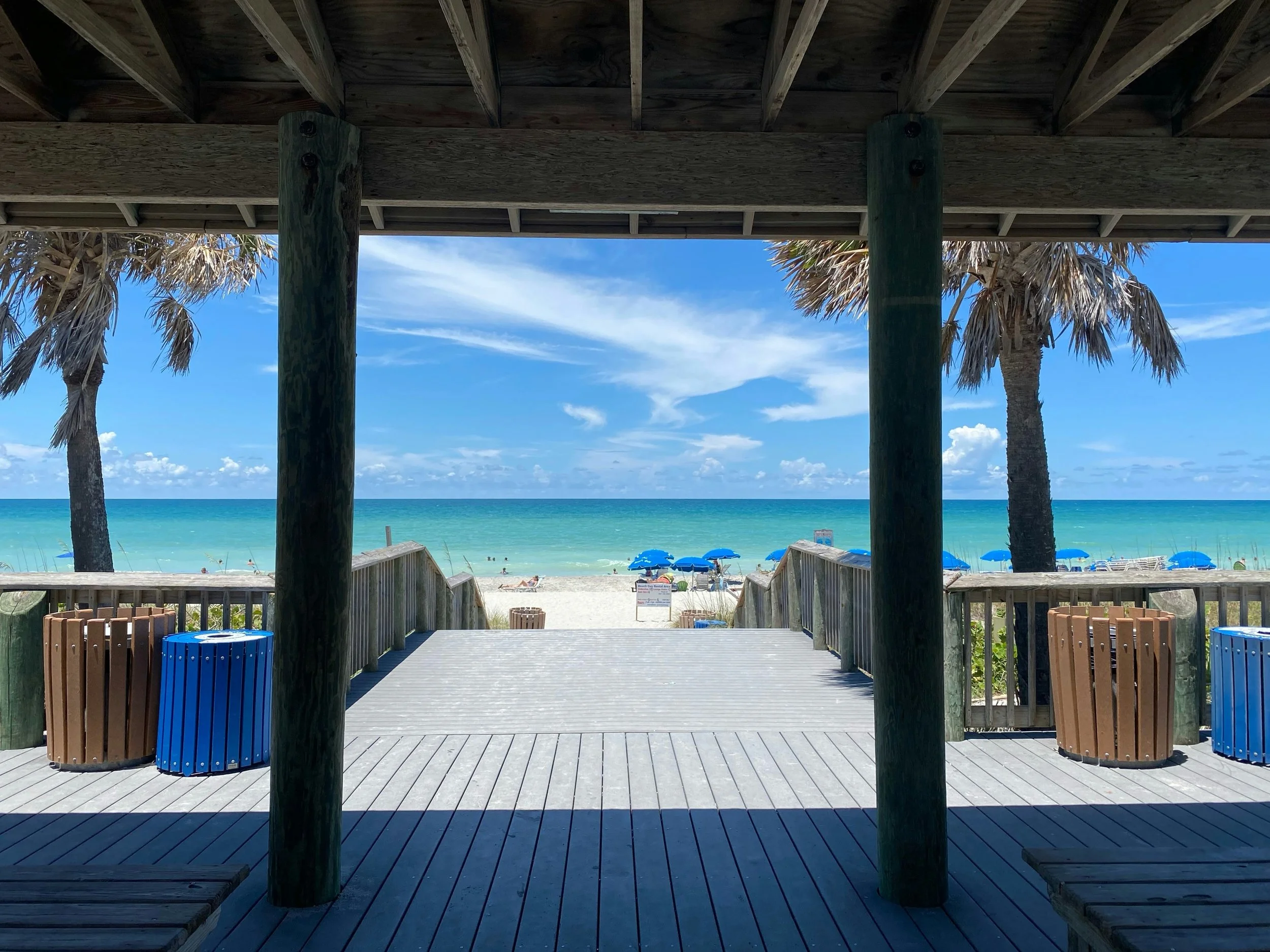 Florida Seawall Fight Pits Homeowners Against Sea Turtles&nbsp;