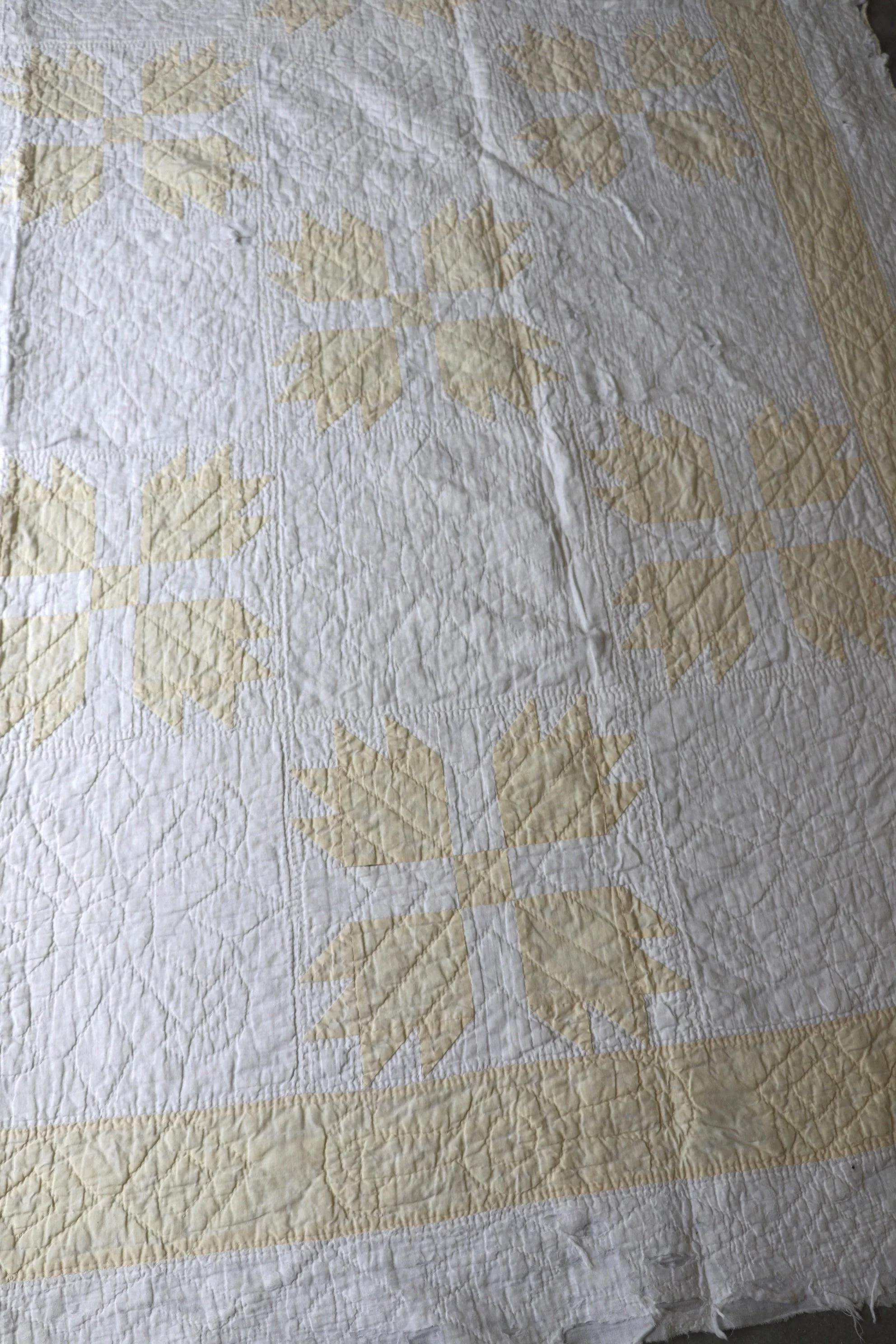 #21. Butter Yellow Bear Paw Heirloom Quilt Circa 1920-1940