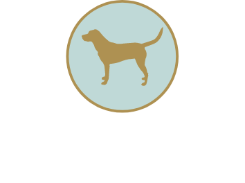 Dog World Resort &amp; Spa