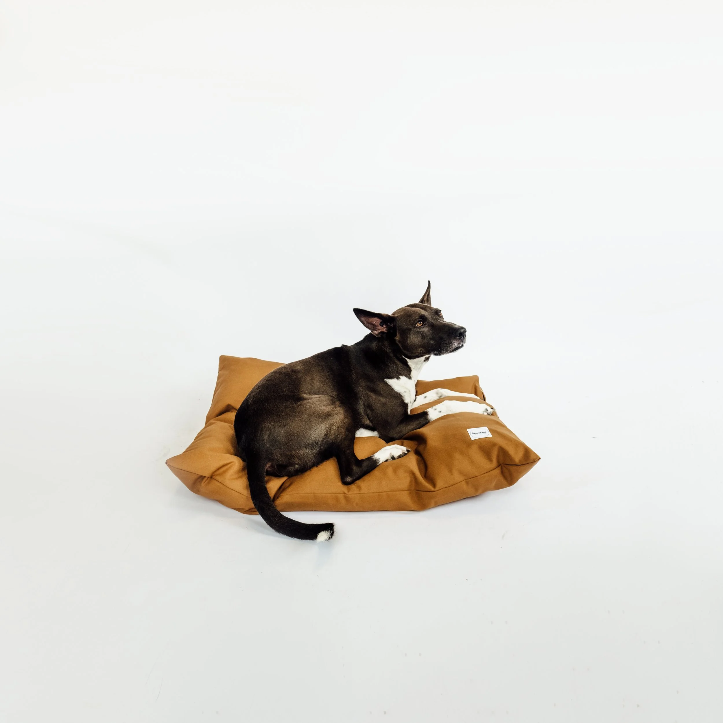 DSCF4105.jpg