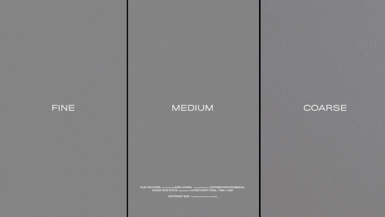 GIF5.gif
