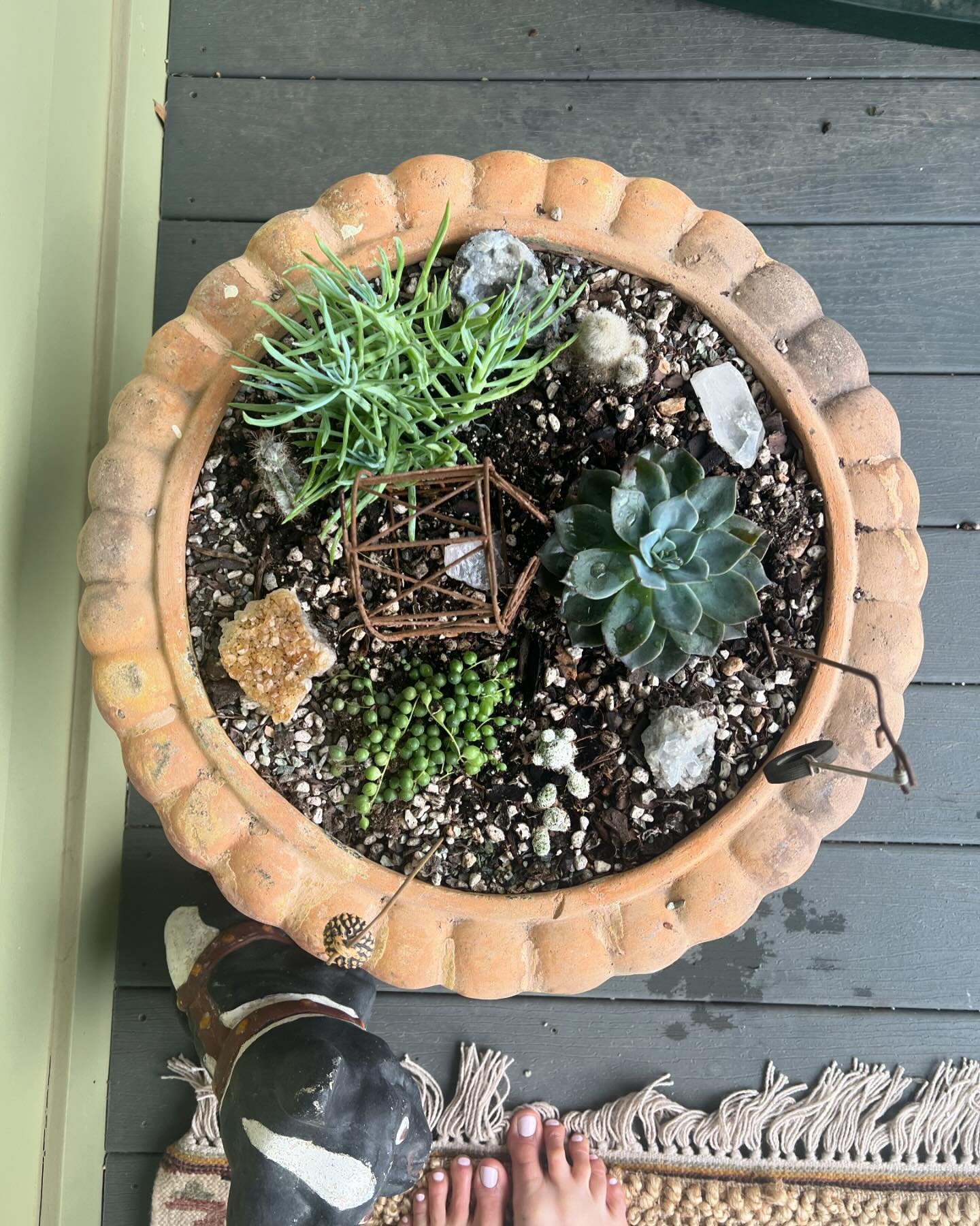 Yesterday, in honor of Earth Day, I headed over to the plant store after work just before they closed. This morning, I planted 7 tomato plants, 4 succulents, 2 daisies, 2 basil, and 1 habanero plant. It&rsquo;s always good to get my hands in the dirt