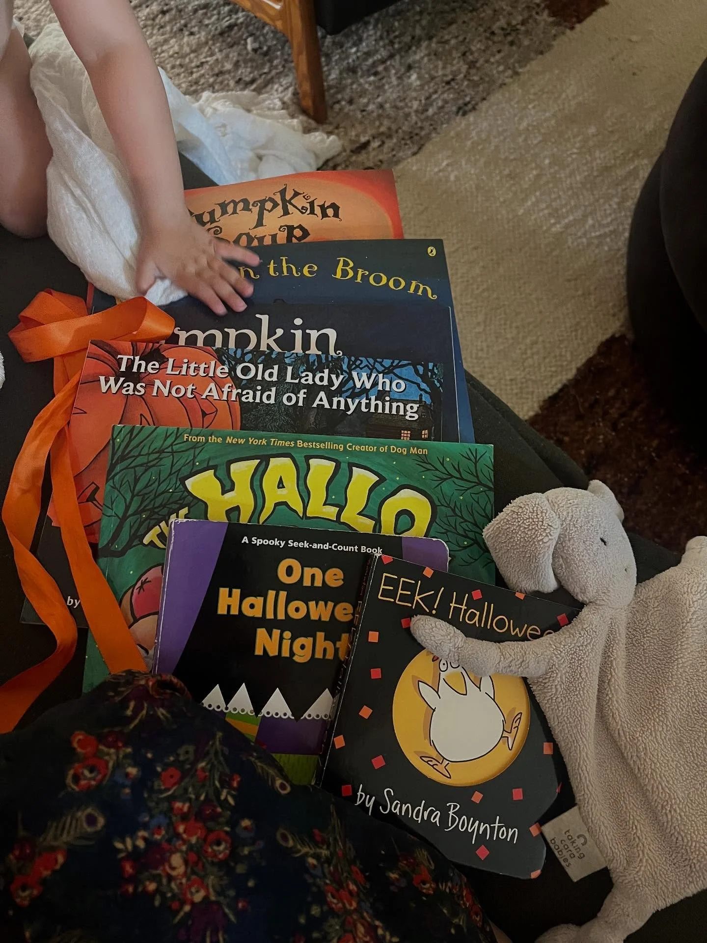 Today&rsquo;s books are all about fall, pumpkins, and Halloween. They&rsquo;ve been tied up with an orange bow (care of JRF) since this time last year. The twins love them even more this year. 

Also special thanks to Aunt Cake for teaching me how to