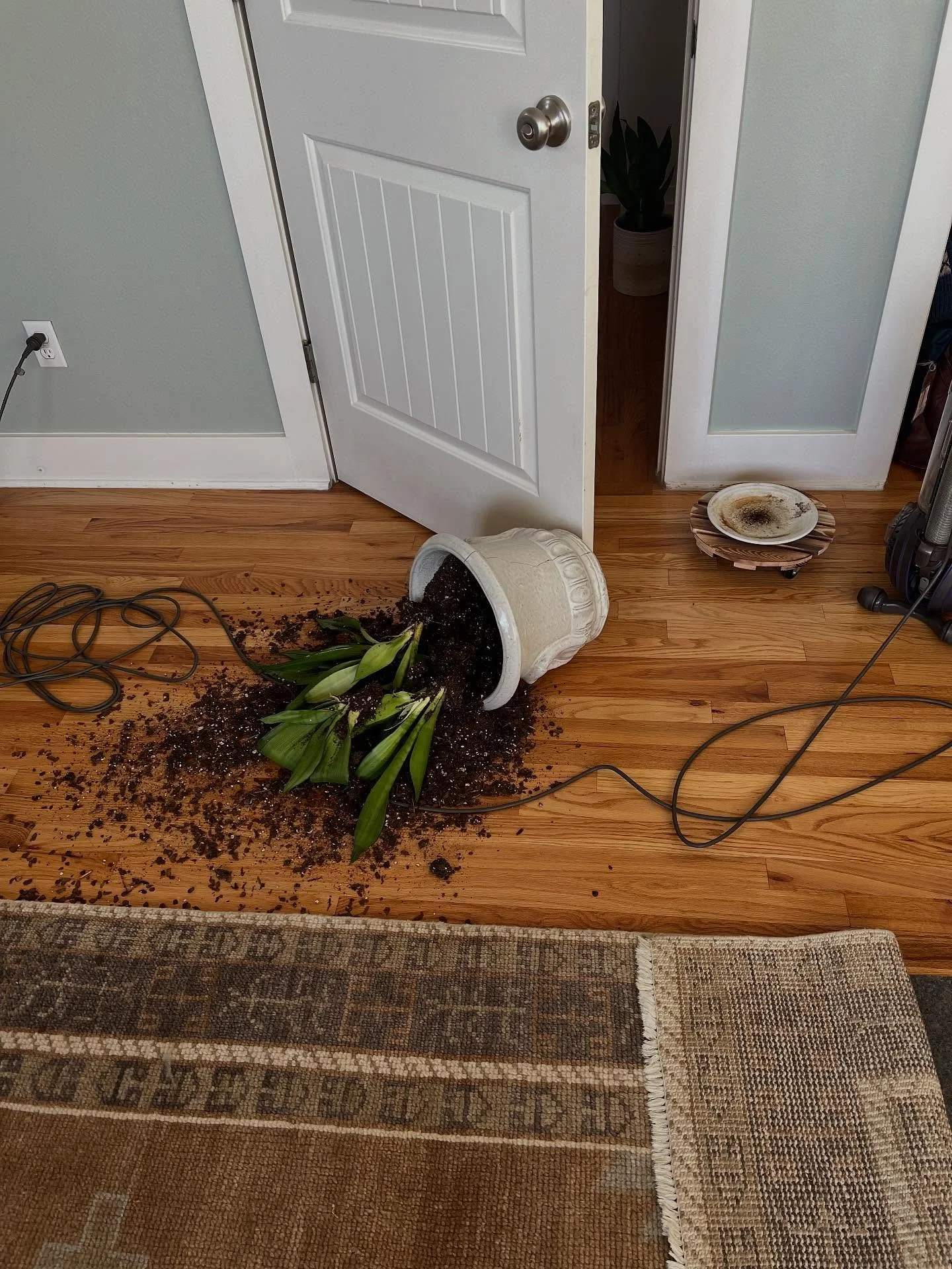 Accidents happen&hellip;to quote Eleanor Shellstrop, pobody&rsquo;s nerfect!

A tale of two microstories: 

Tale One: Yesterday, as I hurried to vacuum at the end of a long day before preparing to feed dogs, make dinner, and fit in a walk before suns