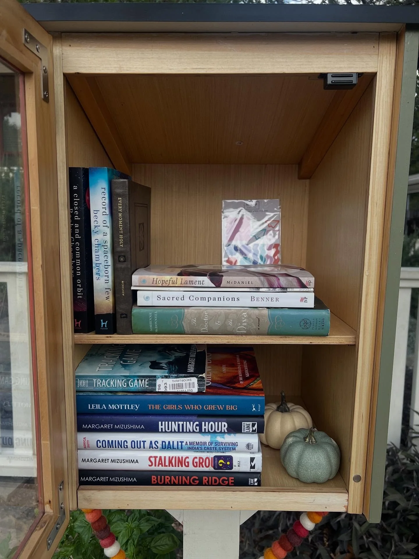 Today in the little free library.📚 📚📚Which would you pick?