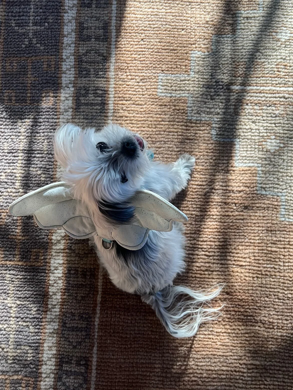 Angel sprite Edie 🪽🧚