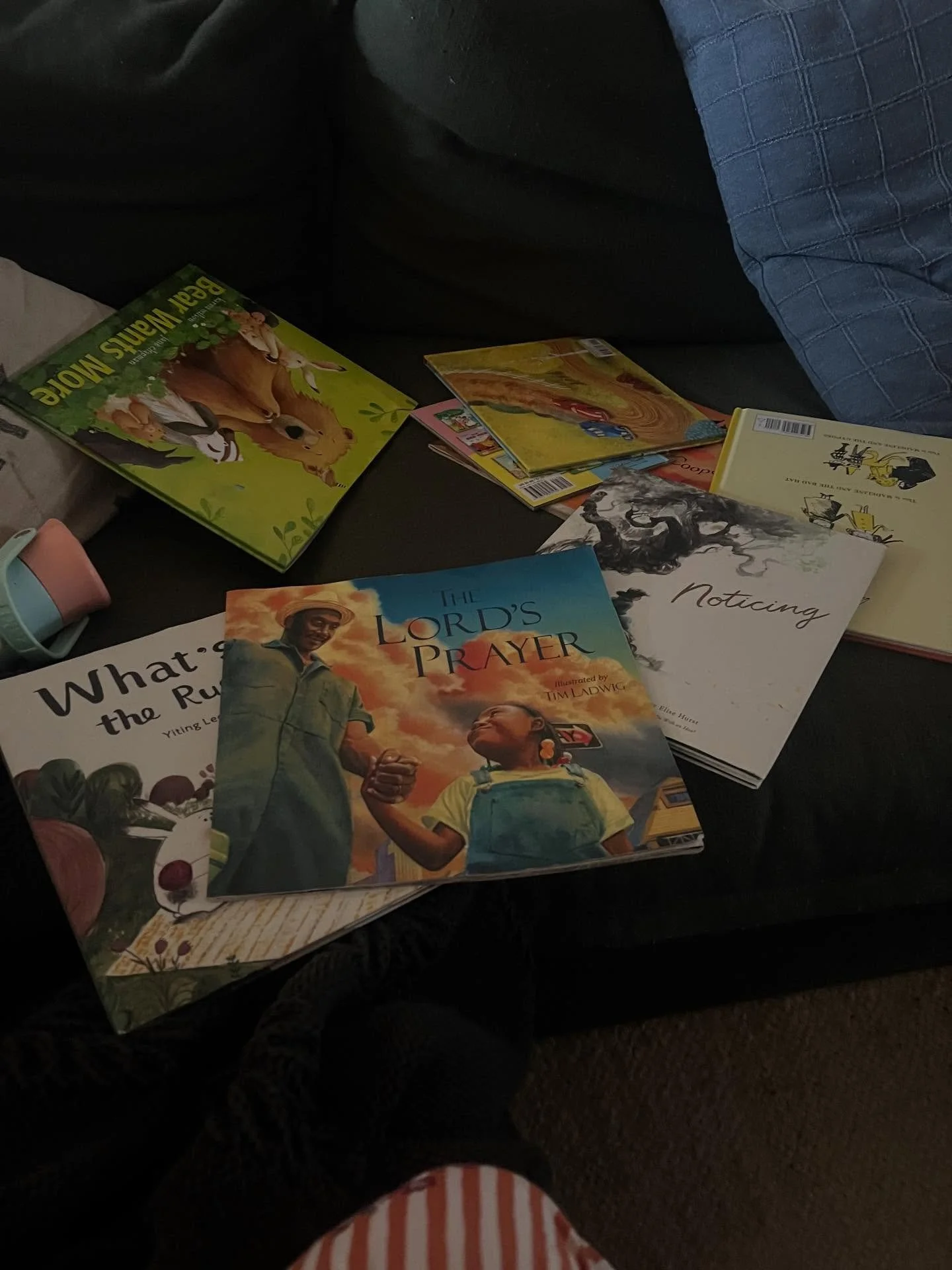 Wednesday&rsquo;s featured reads were what&rsquo;s the rush and new favorite buffalo fluffalo and puffalo. 

And a library book about ships, trains, and vehicles of all kinds (not pictured). 

#wednesdayswithamma #tiptwins