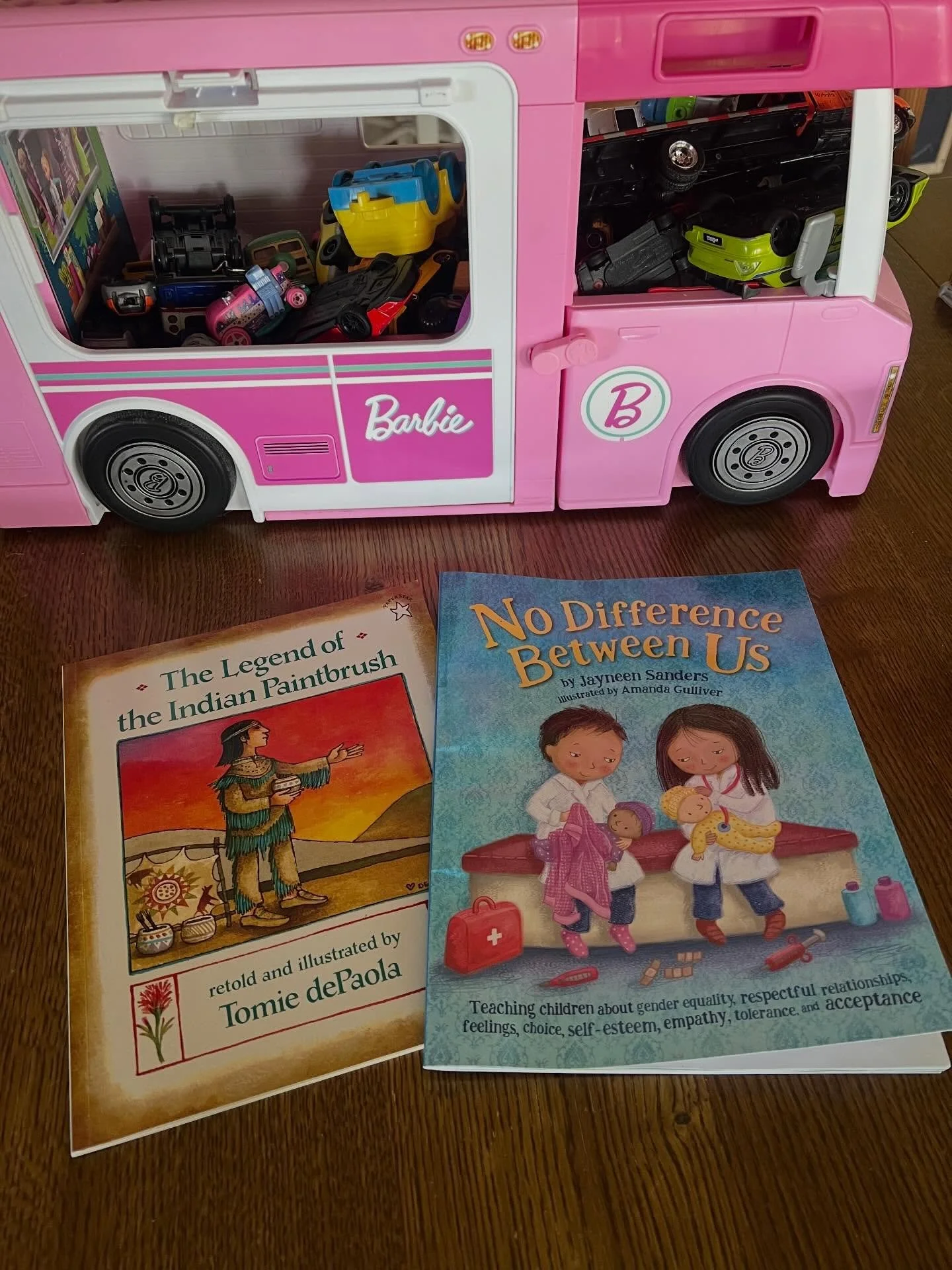 Today&rsquo;s new reads. The twin book was so sweet and fun and the Indian Paintbrush legend was inspiring and beautiful. 📚