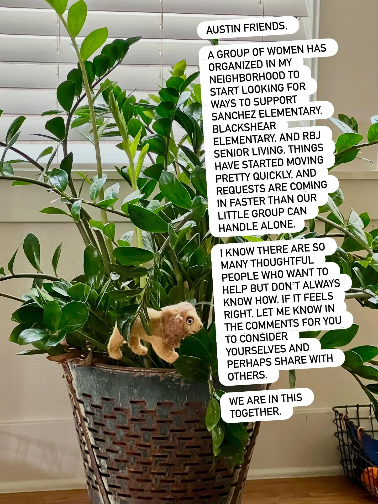 Austin friends, 

A group of women has organized in my neighborhood to start looking for ways to support Sanchez Elementary, Blackshear Elementary, and RBJ Senior Living. Things have started moving pretty quickly, and requests are coming in faster th