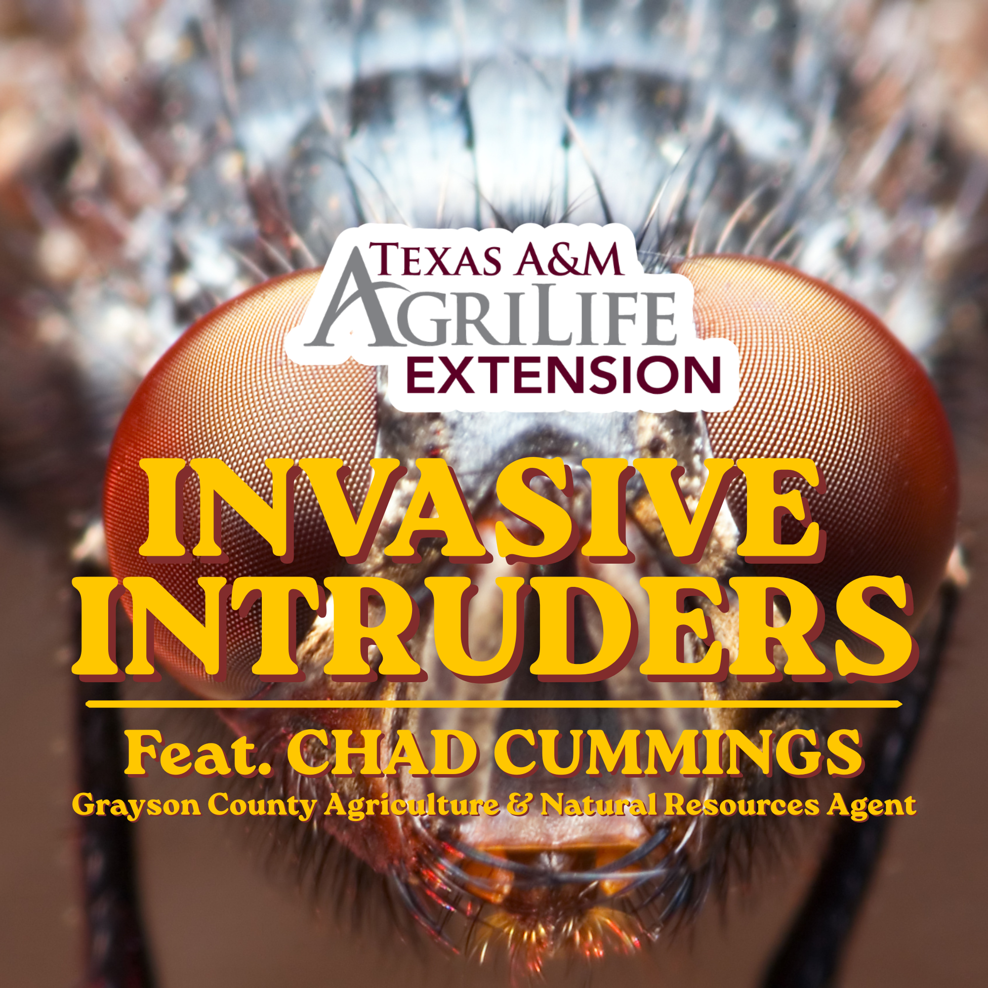Ag Talk - Invasive Intruders