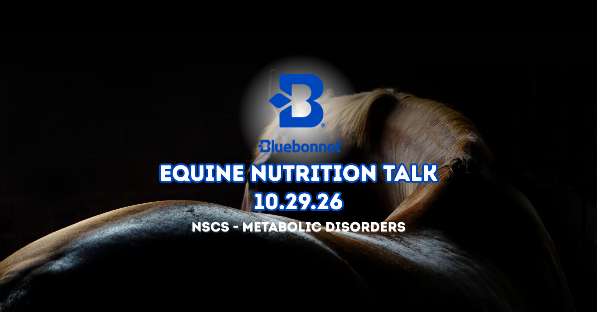 Bluebonnet Equine Nutrition Talk