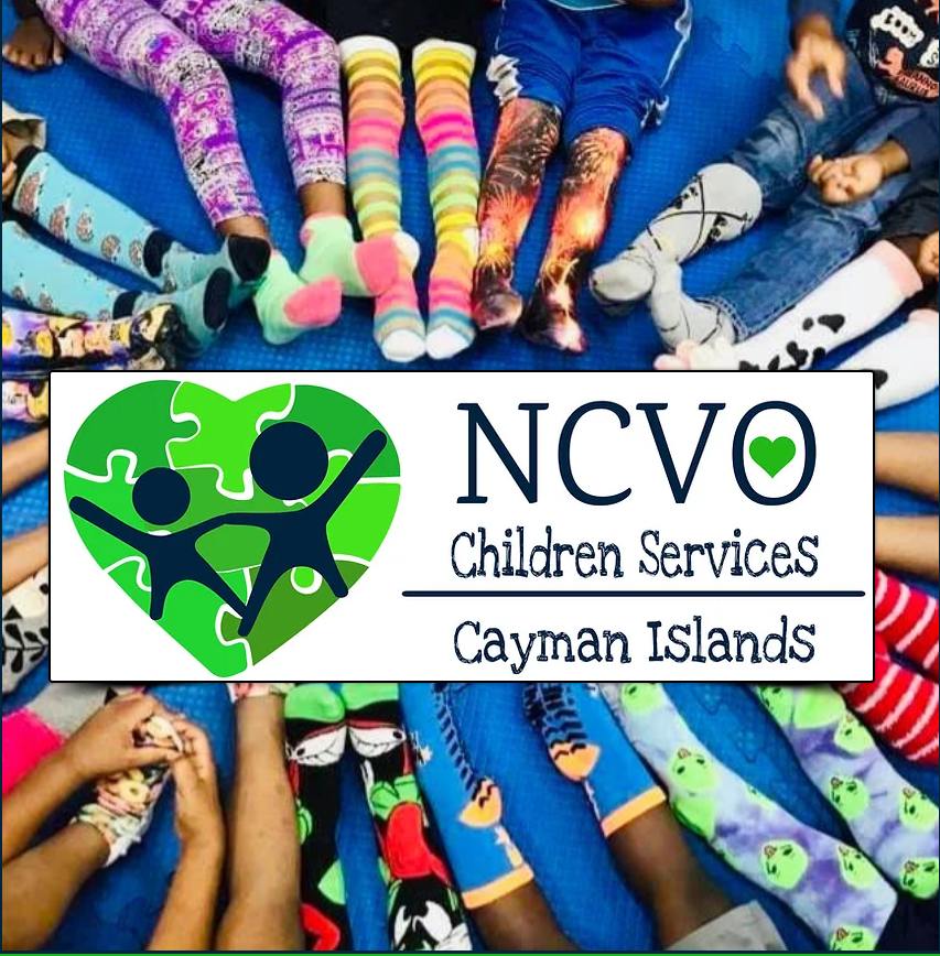 What We Do — NCVO