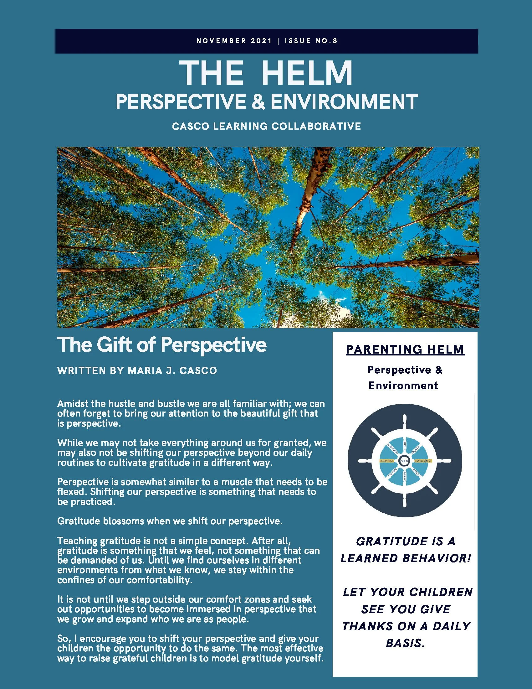 NOVEMBER 2021: PERSPECTIVE &amp; ENVIRONMENT