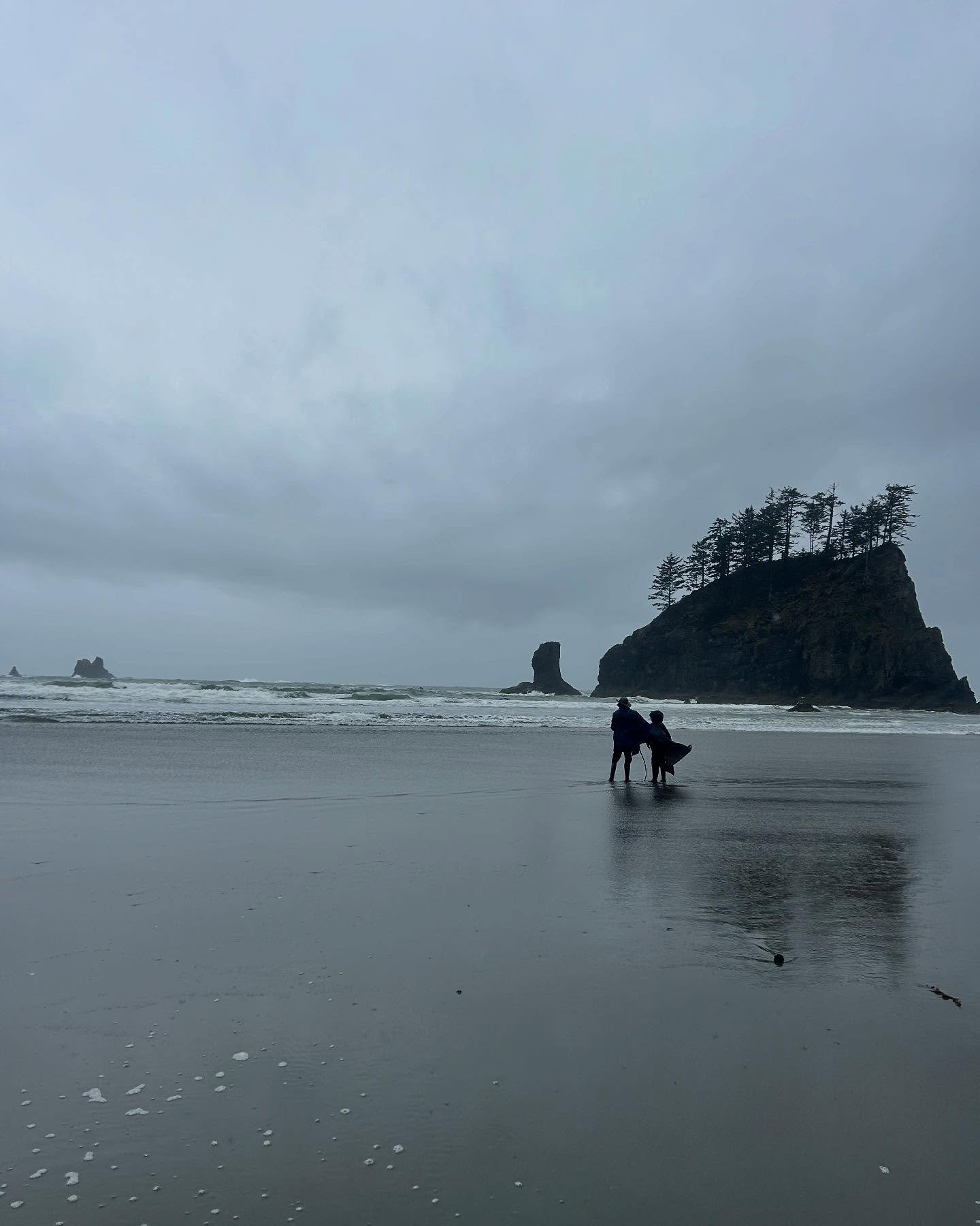 Protect Our Parks 💚

We leave Olympic National Park with so many lessons learned, memories formed, and inspiration gained to protect these wild spaces we are so fortunate to explore.