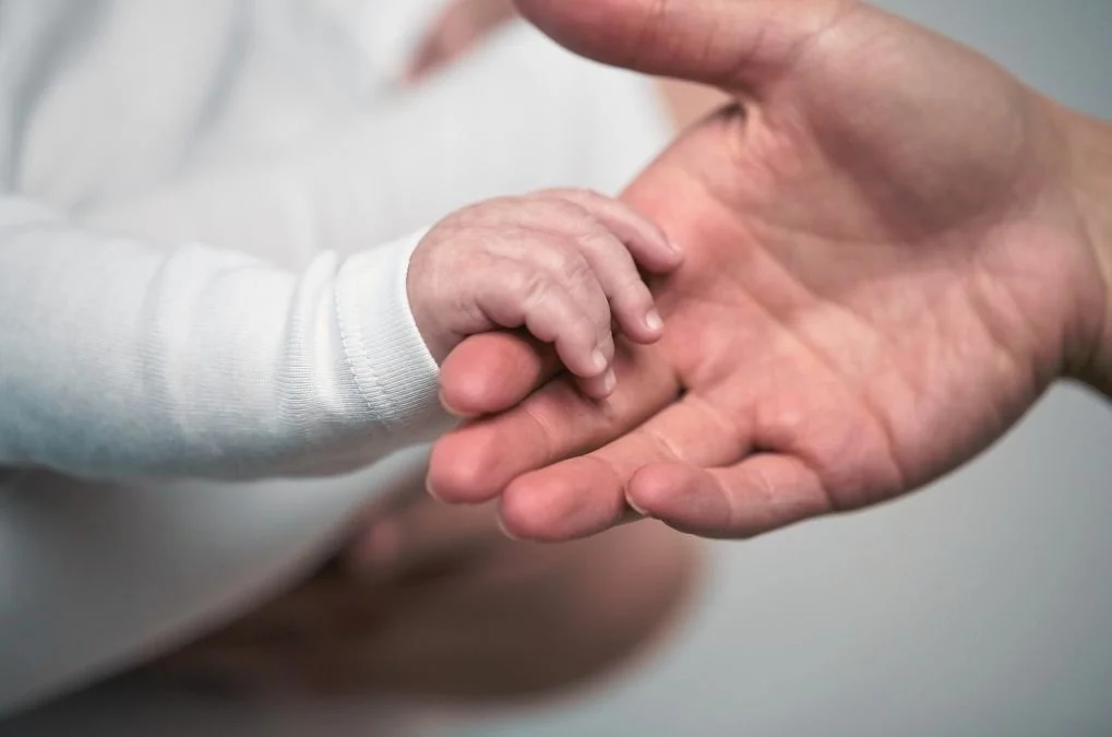 Close-up of a baby's hand holding an adult's hand.