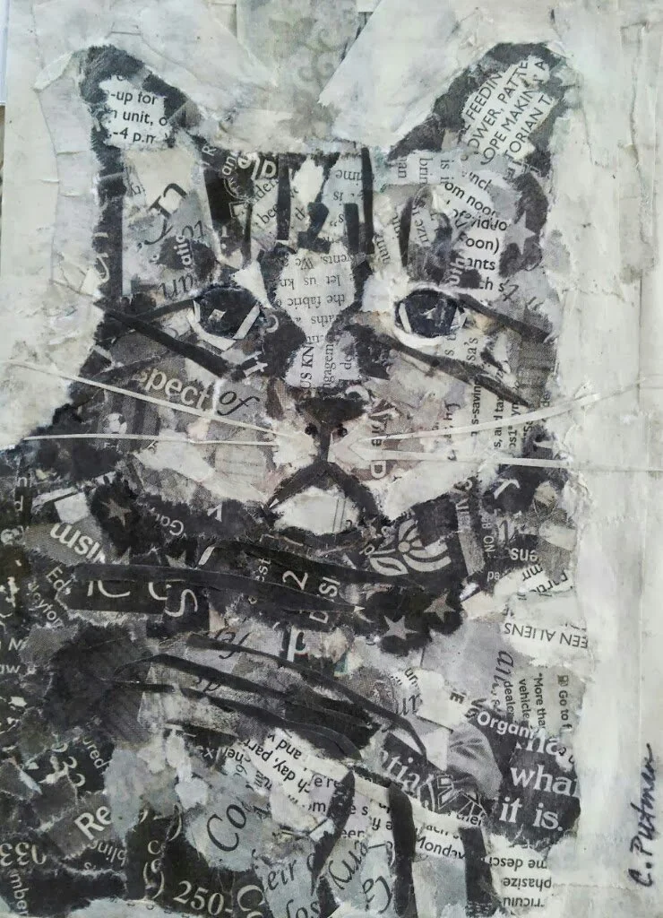 carolP-catcollage.jpg