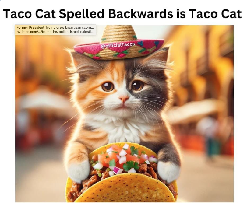 taco-cat.png