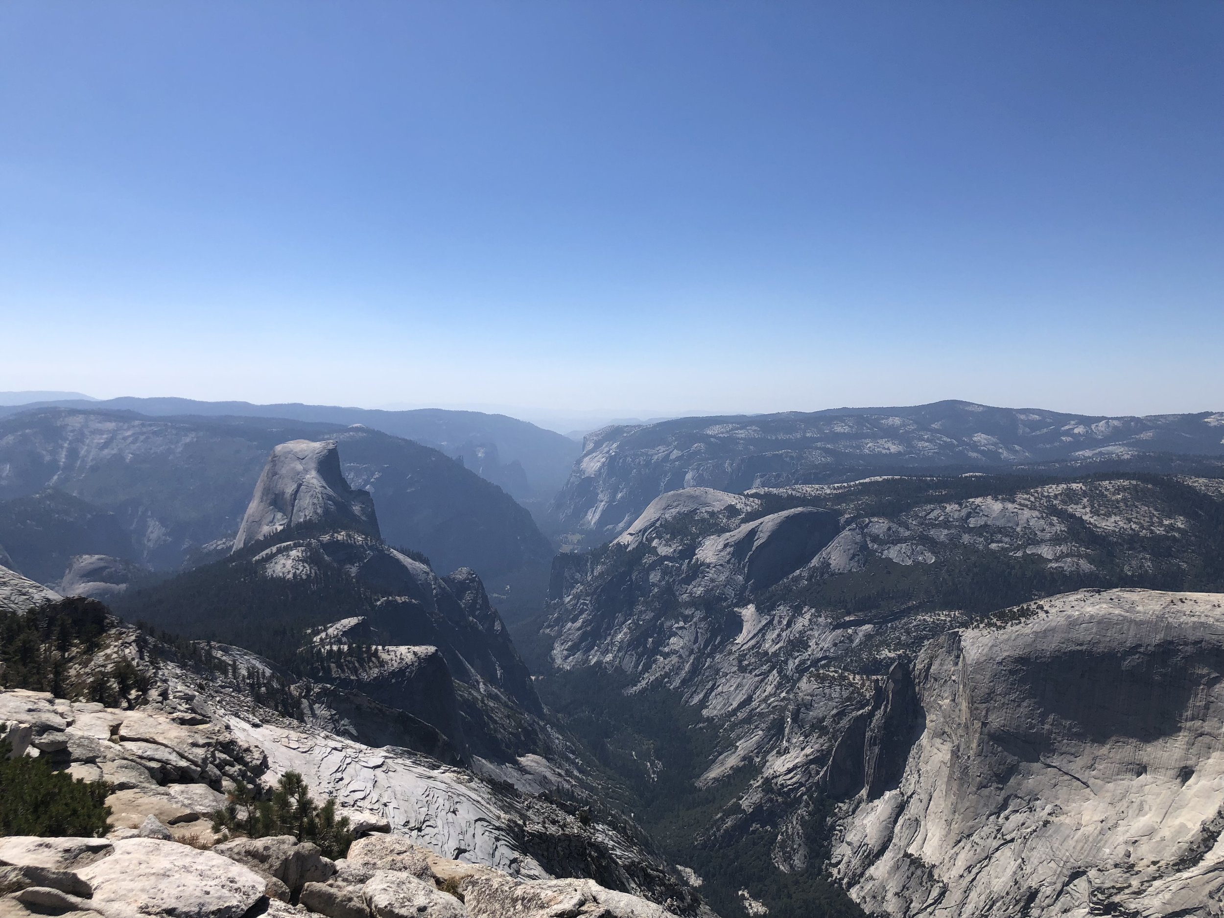IMG_1869.jpeg
