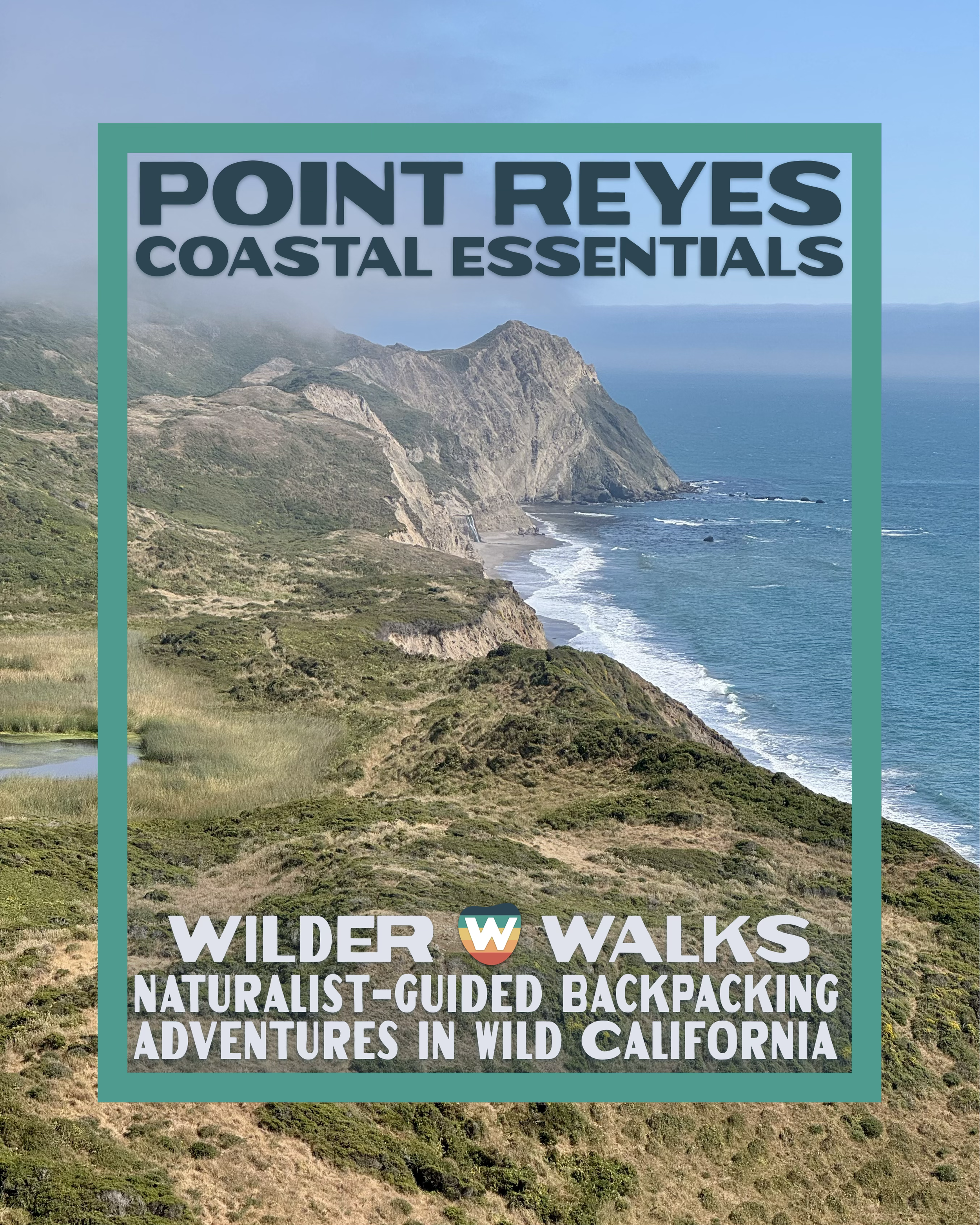 Point Reyes Coastal Essentials