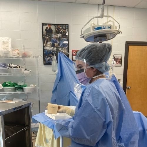 Springing Into Career Exploration