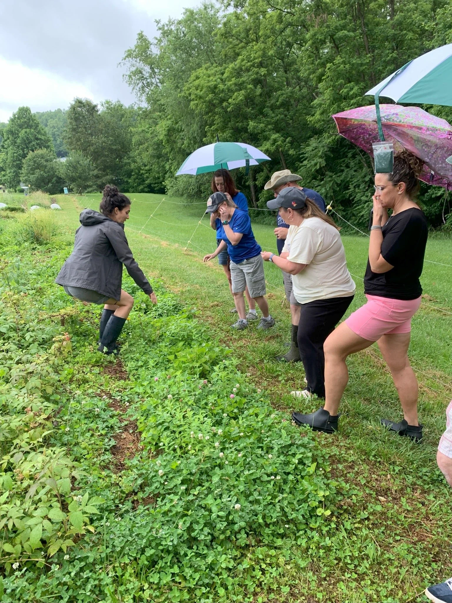 Little Muskingum Kettle Farm