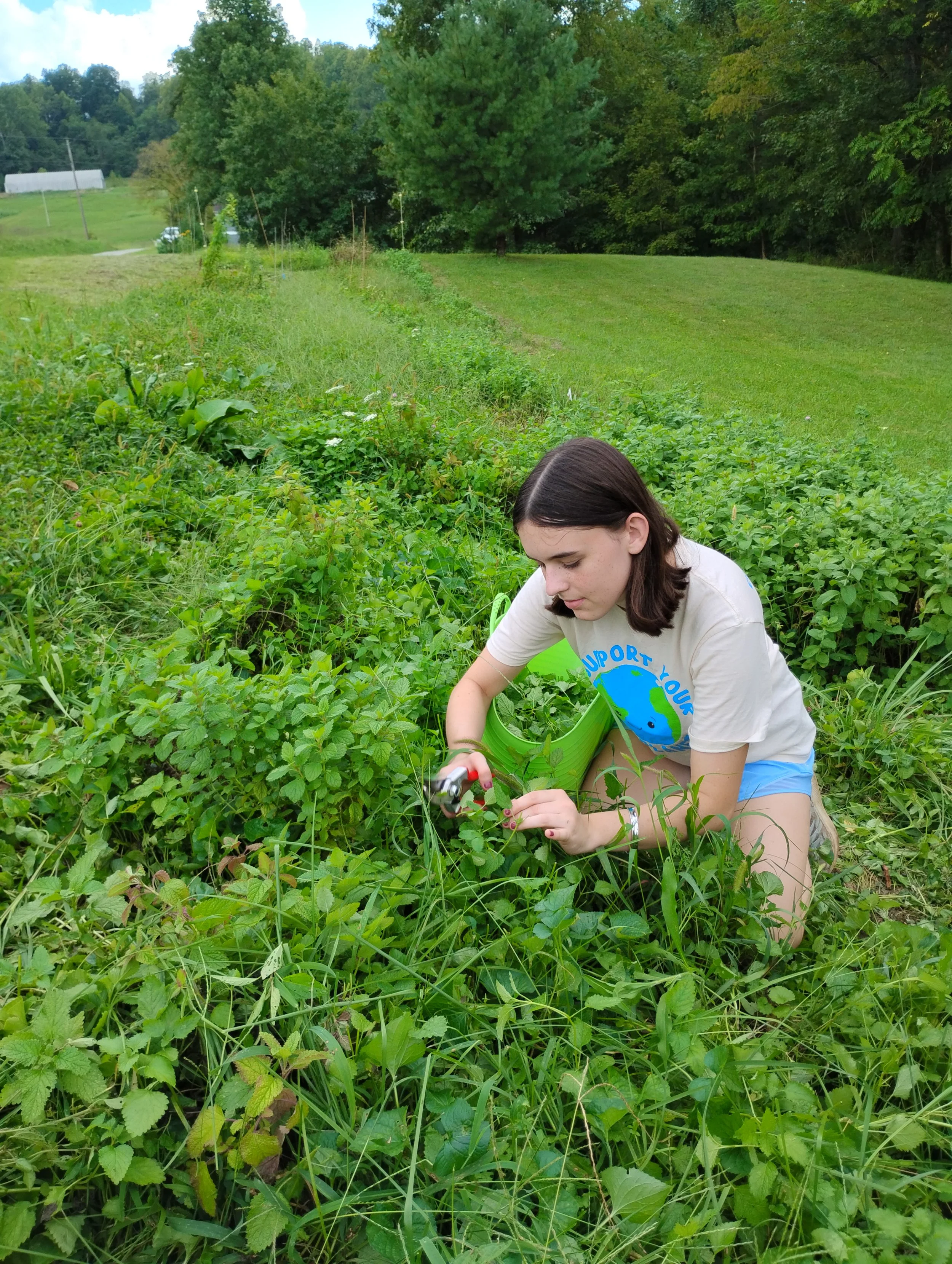 Student Internship Spotlight: Harvesting Hands-On Skills at Little Muskingum Kettle Farm