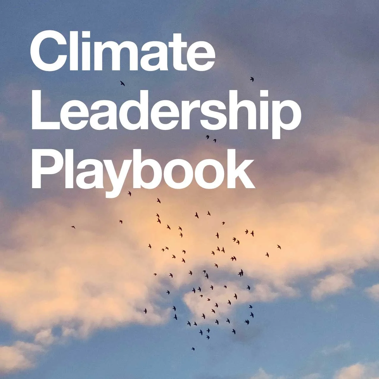 Climate Leadership Playbook