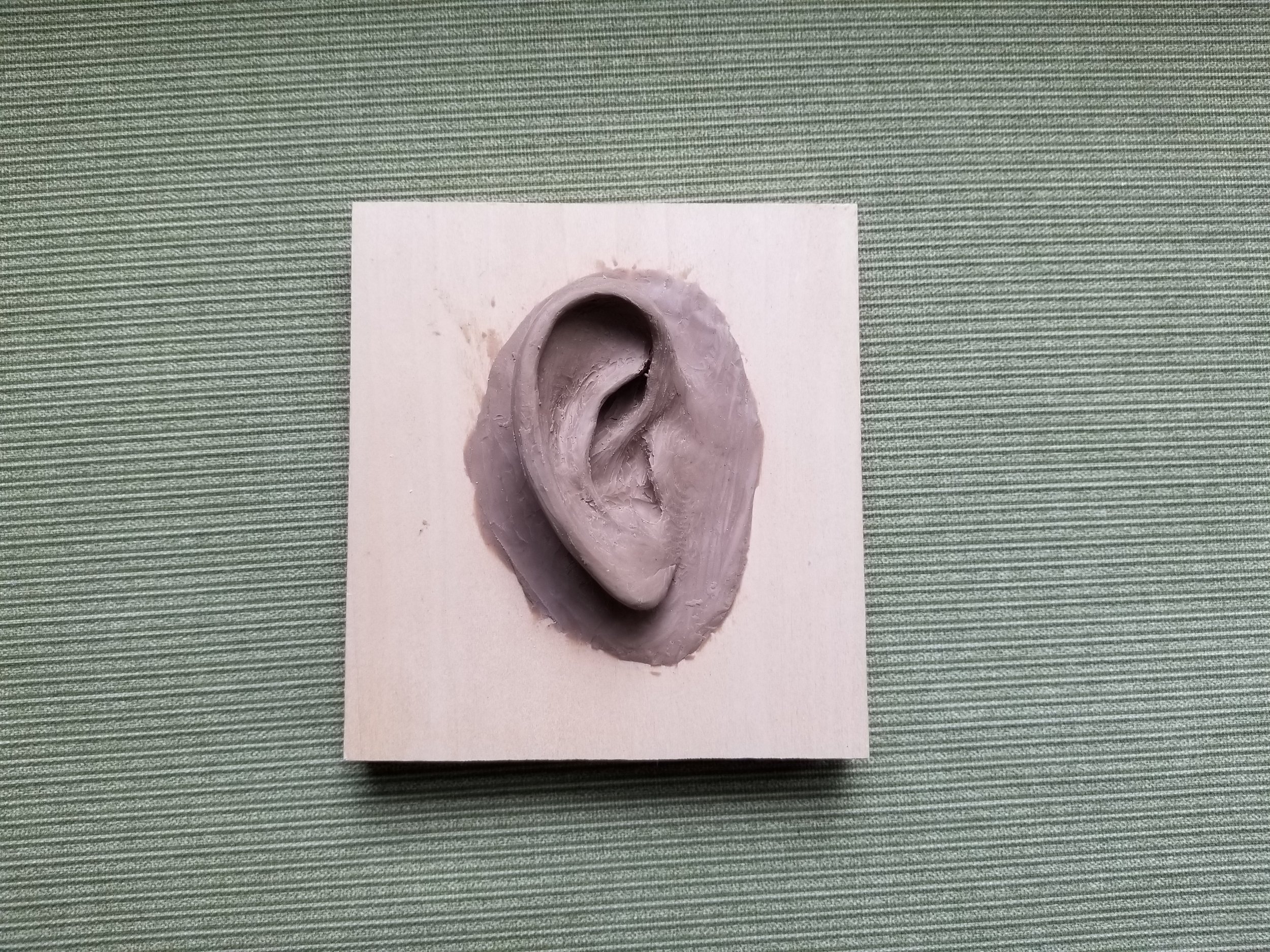 Ear Prosthetic Sculpt - Julia Stam.jpg