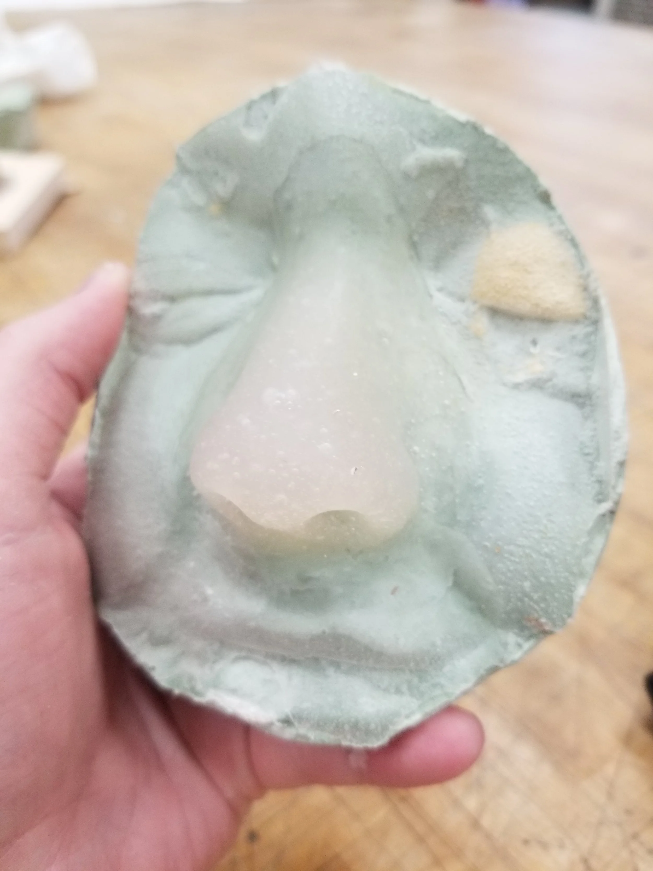 1st nose cast.jpg