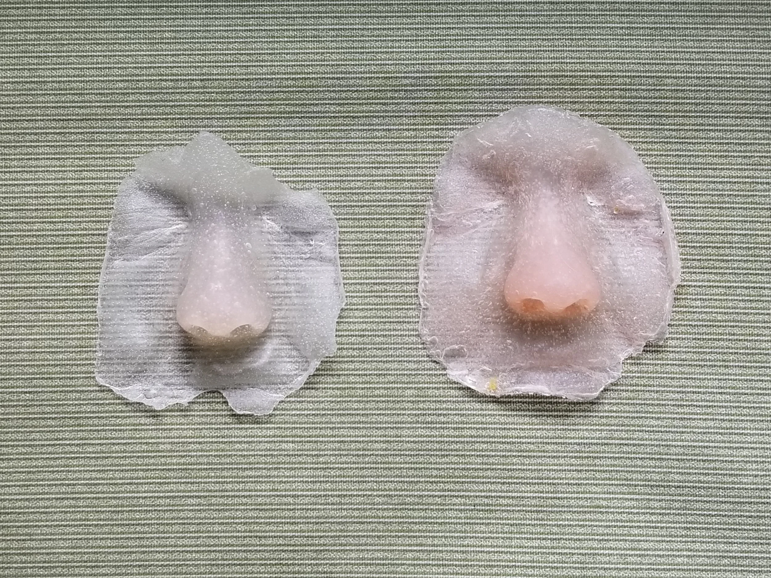 Nose Prosthetics - Julia Stam.jpg