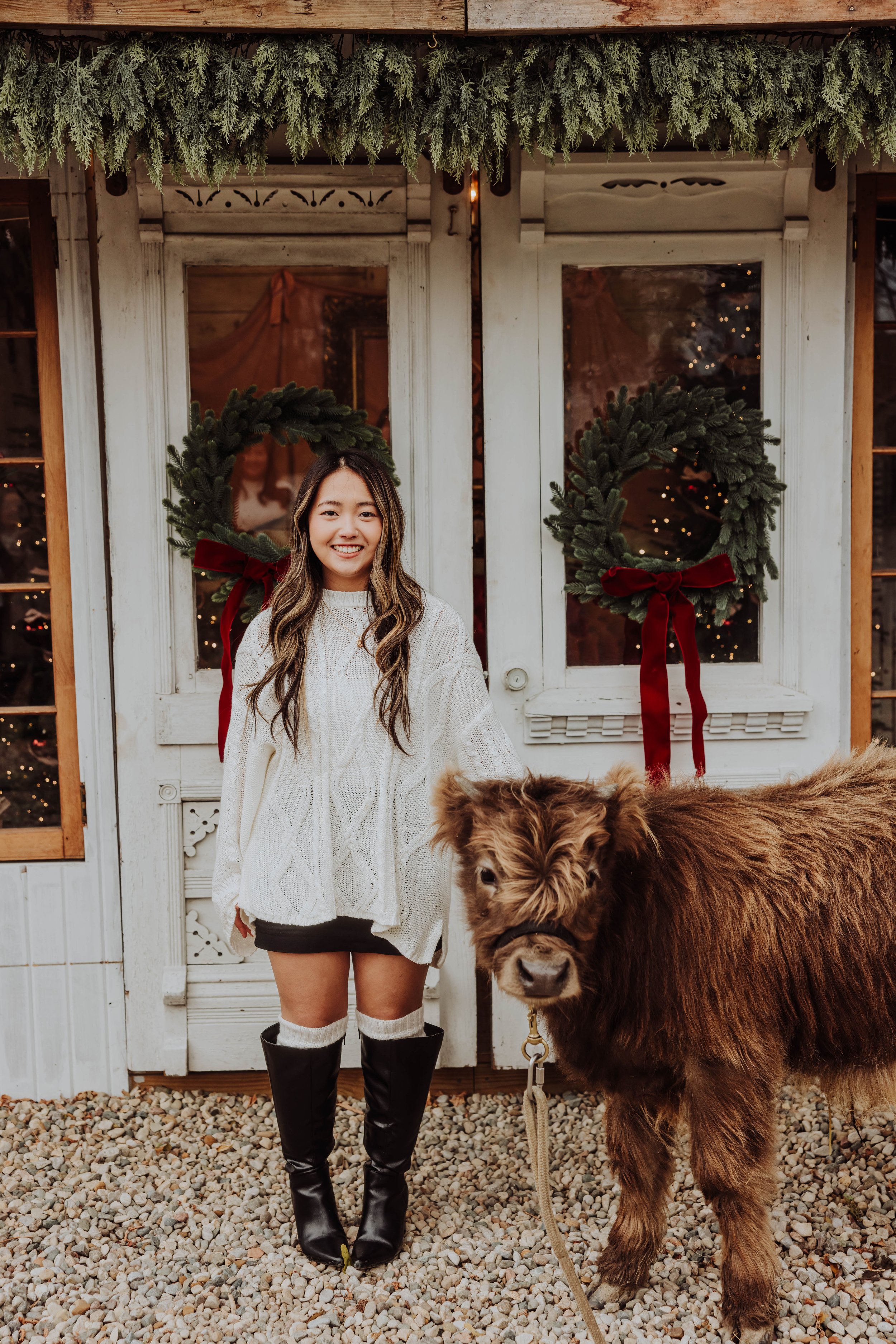 Highland Cow Mini Sessions at Sharp Farm: What to Expect and Why Families Love Them