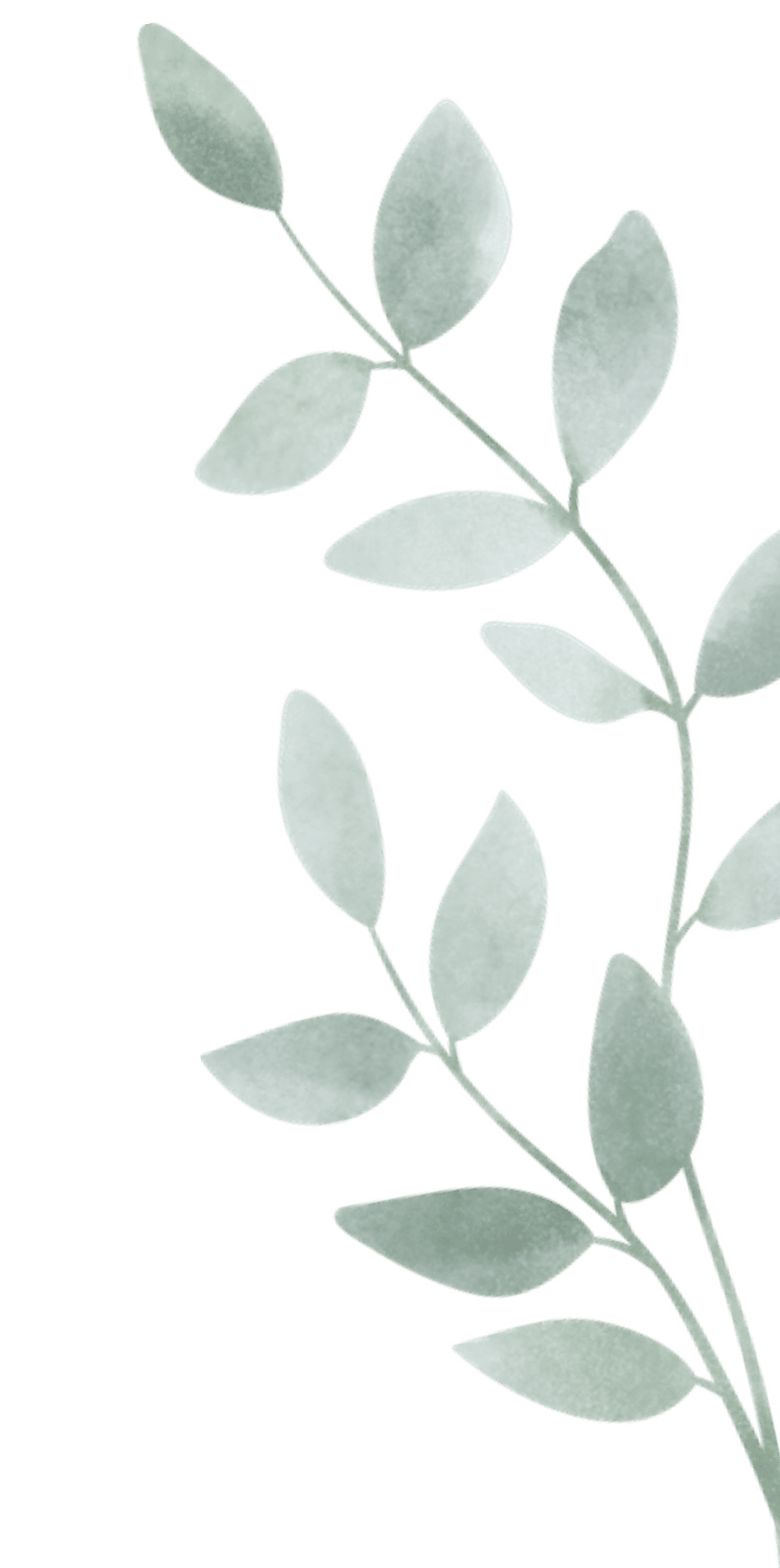 Illustration of a light-colored leafy branch with multiple oval leaves on a black background.