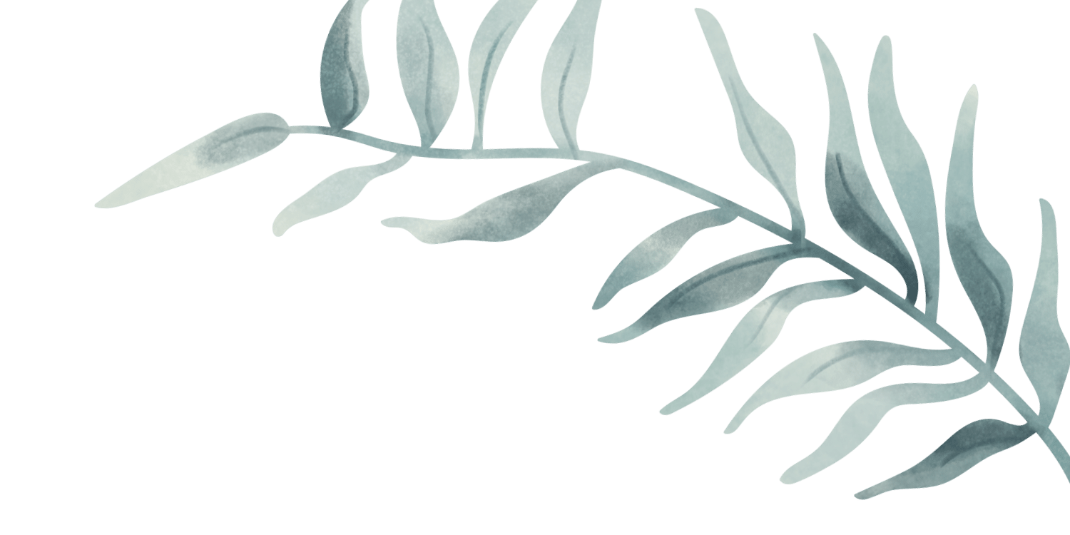Watercolor illustration of a leafy green plant branch with elongated leaves.