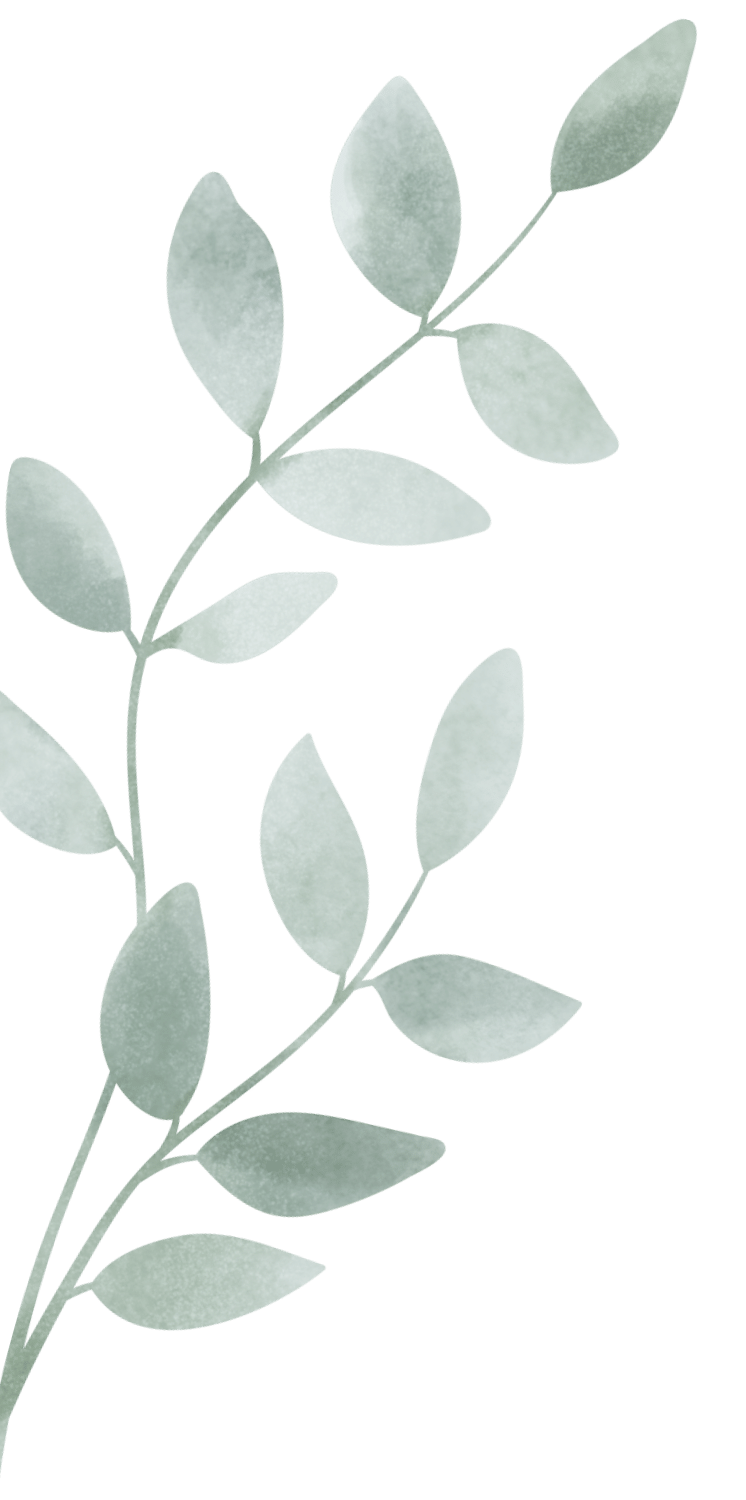 A watercolor illustration of a leafy plant branch with light green leaves on a black background.