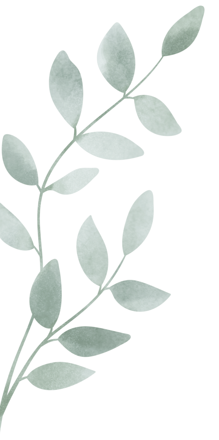 Watercolor illustration of a eucalyptus branch with multiple leaves on a black background.