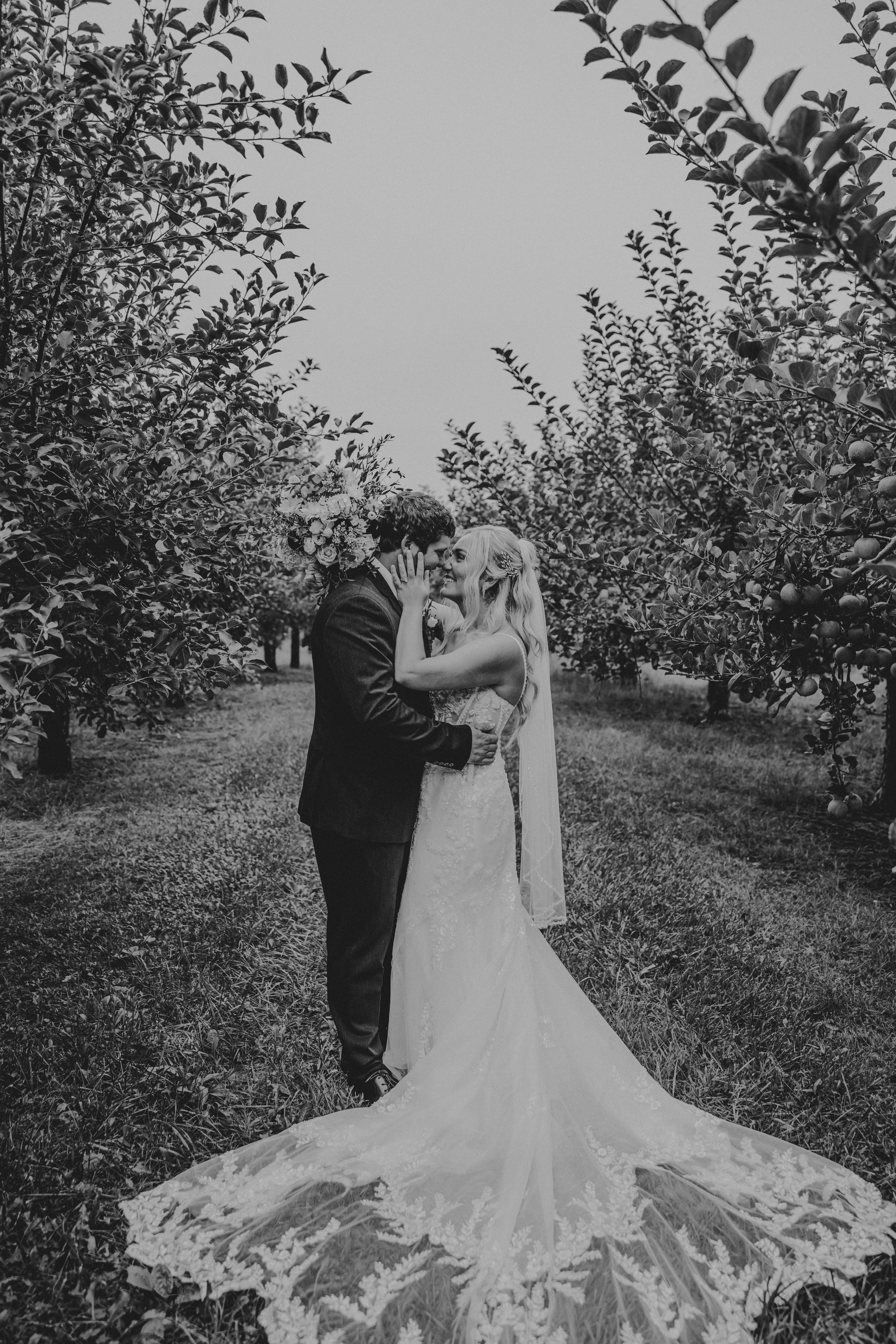 LMP-74.jpg
